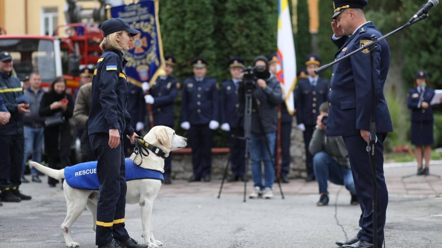 Работал в ДСНС и был лучшим на чемпионатах: уникальную собаку провели на отдых - Новости Тернополя - Pets Работал в ДСНС и был лучшим на чемпионатах: уникальную собаку провели на отдых - Новости Тернополя - Pets