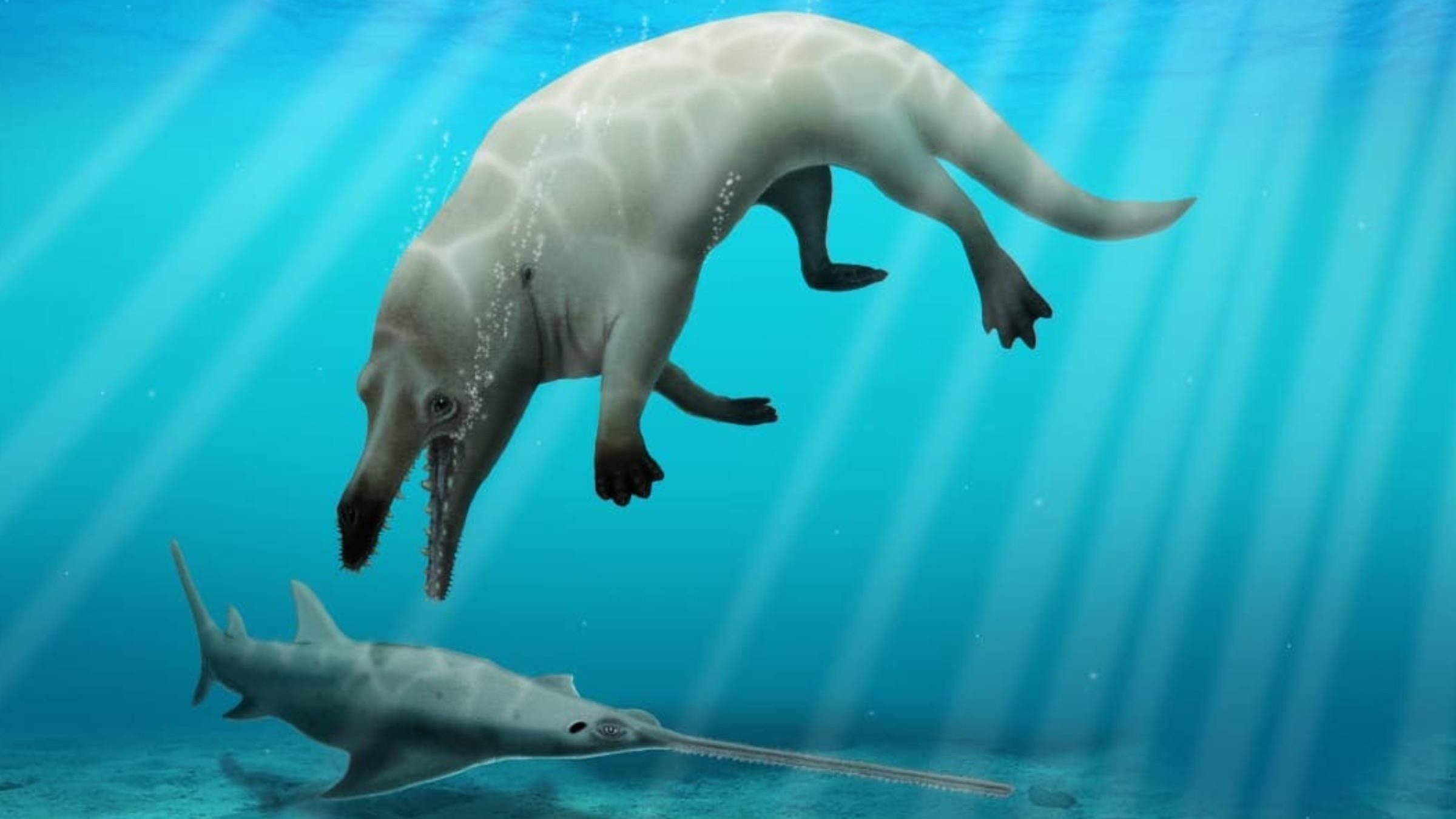В Египте нашли останки четвероногого кита: почему его назвали в честь бога Анубиса - Pets