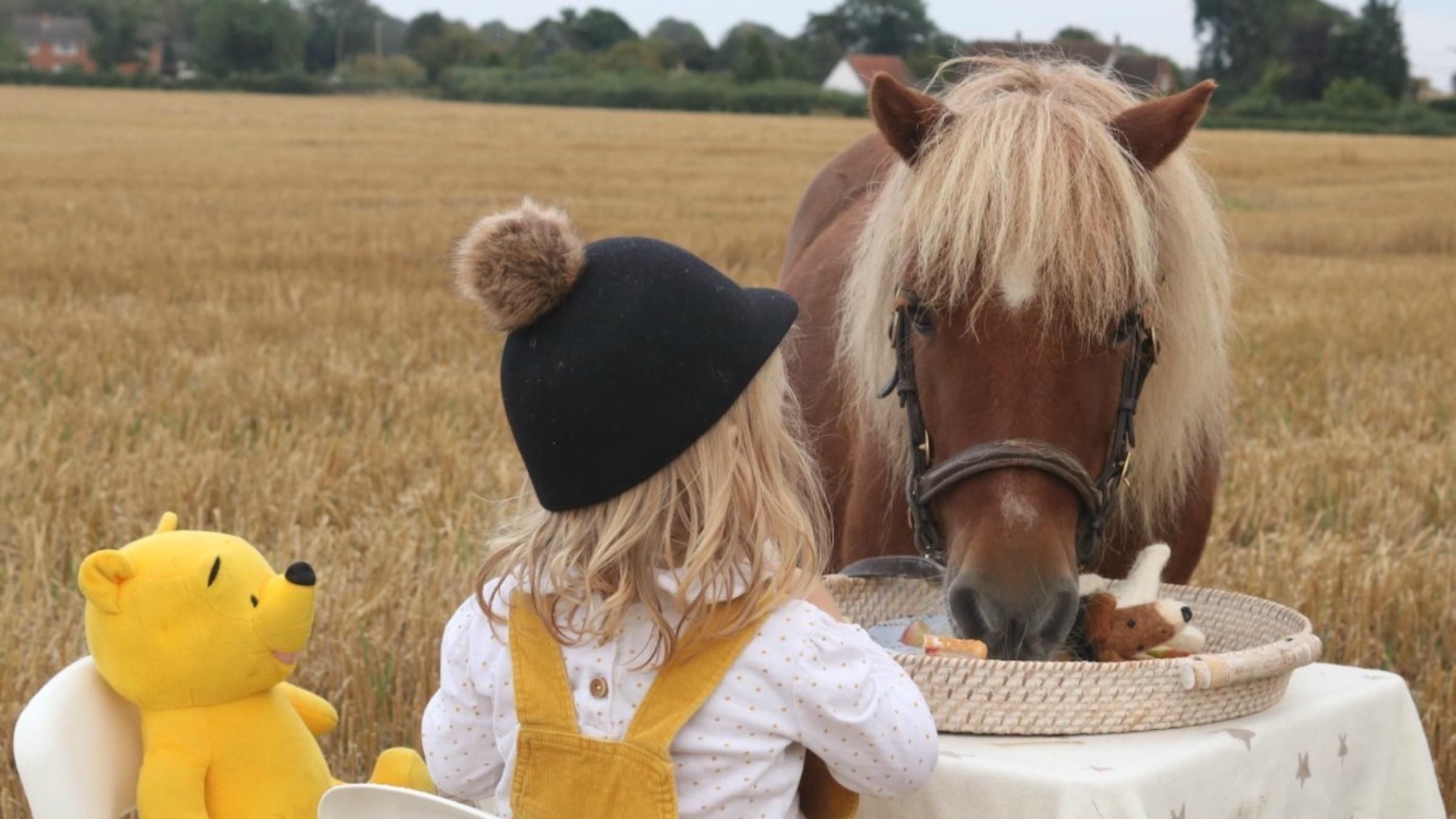 Замість котиків – поні: як сім'ї живуть разом з унікальними домашніми улюбленцями - Pets Замість котиків – поні: як сім'ї живуть разом з унікальними домашніми улюбленцями - Pets