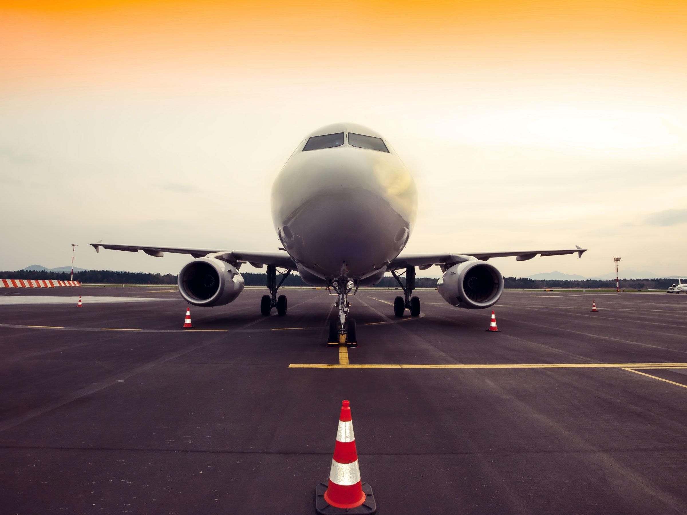 Черепаха затримала виліт літаків у Токіо: як тварина опинилася на злітно-посадковій смузі - Pets Черепаха затримала виліт літаків у Токіо: як тварина опинилася на злітно-посадковій смузі - Pets