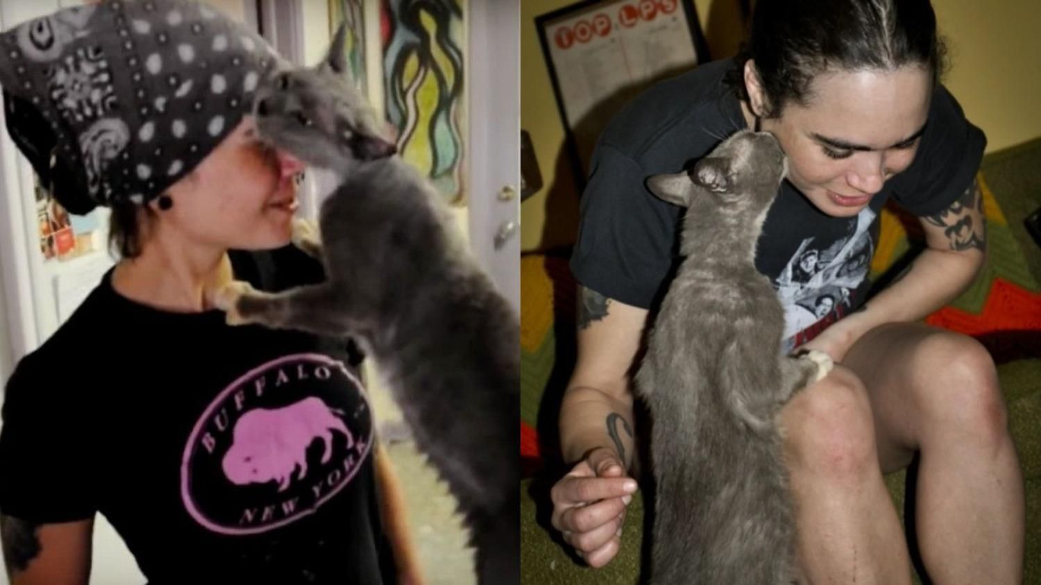 Обнимает и прижимается: как кошка отблагодарила за спасение из клетки – трогательное видео - Pets Обнимает и прижимается: как кошка отблагодарила за спасение из клетки – трогательное видео - Pets