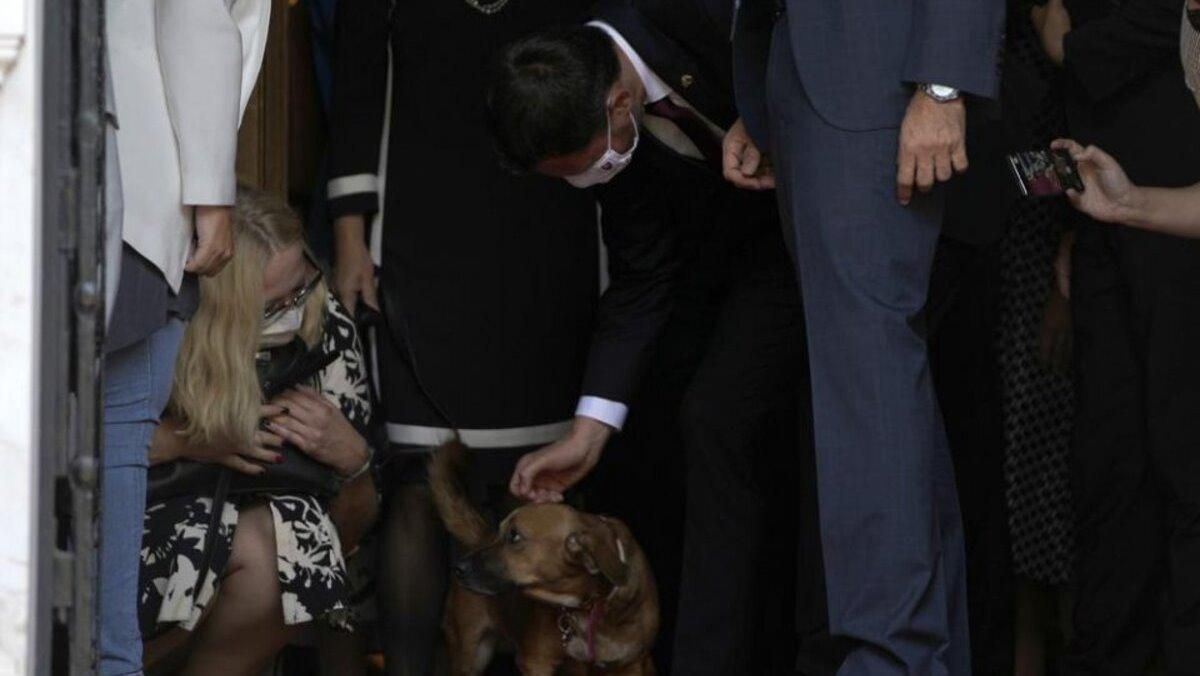 Неслухняний Арахіс: як пес прем'єра Греції перервав пресконференцію - Pets
