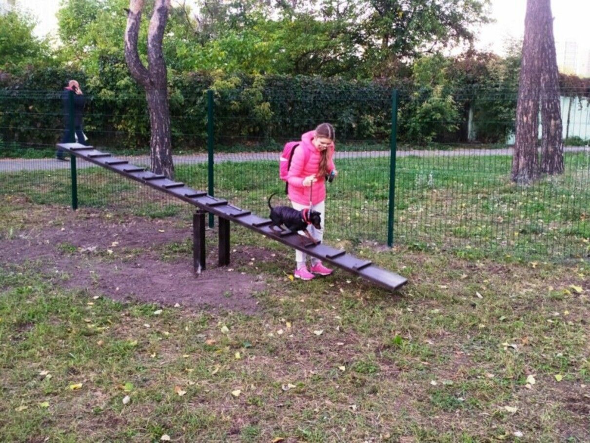 Майданчики для вигулу тварин у Києві: куди зводити улюбленця - Новини Києва сьогодні - Pets Майданчики для вигулу тварин у Києві: куди зводити улюбленця - Новини Києва сьогодні - Pets