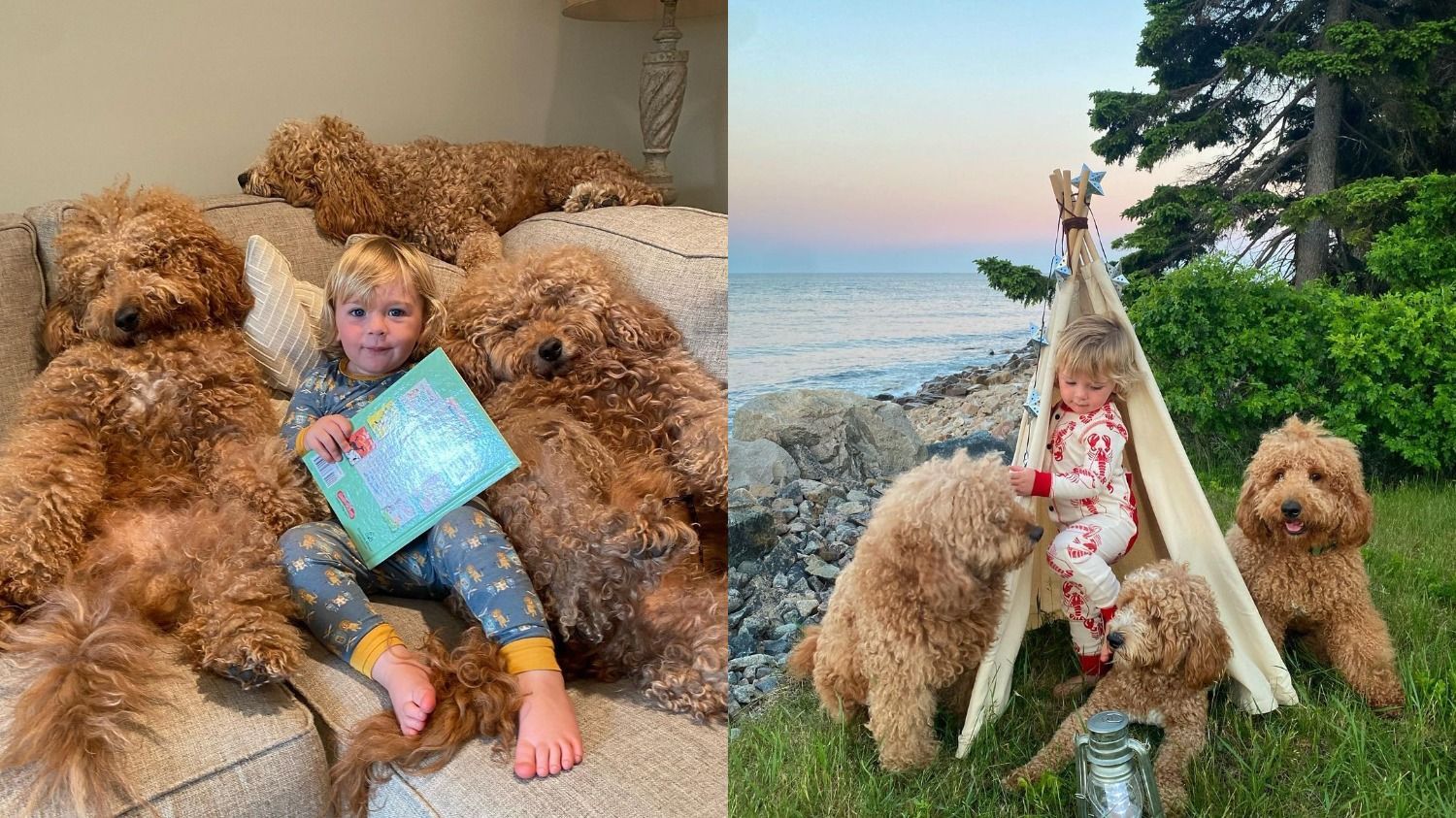 Разом з народження: фото та відео зворушливої дружби малюка та трьох собак - Pets Разом з народження: фото та відео зворушливої дружби малюка та трьох собак - Pets