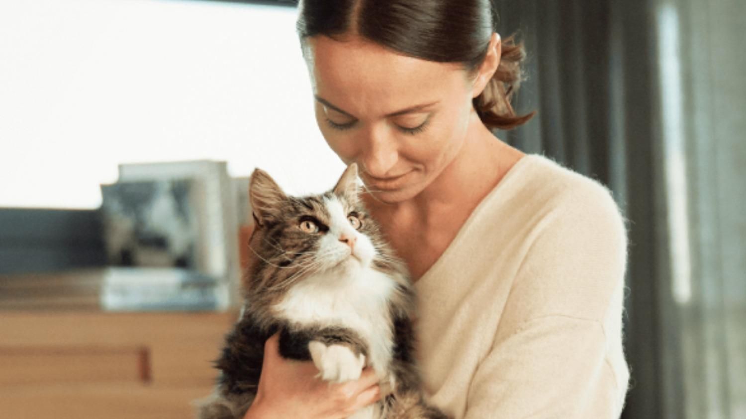 Що допоможе побороти алергічну реакцію на котів: дізнайтеся інші методи боротьби з алергією - Pets