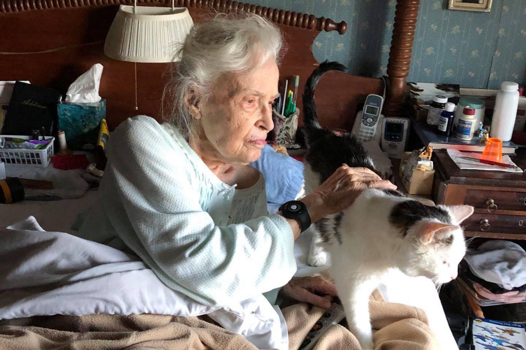 Ідеальна пара: як жінка віком 101 рік усиновила найстарішого кота в притулку - Pets