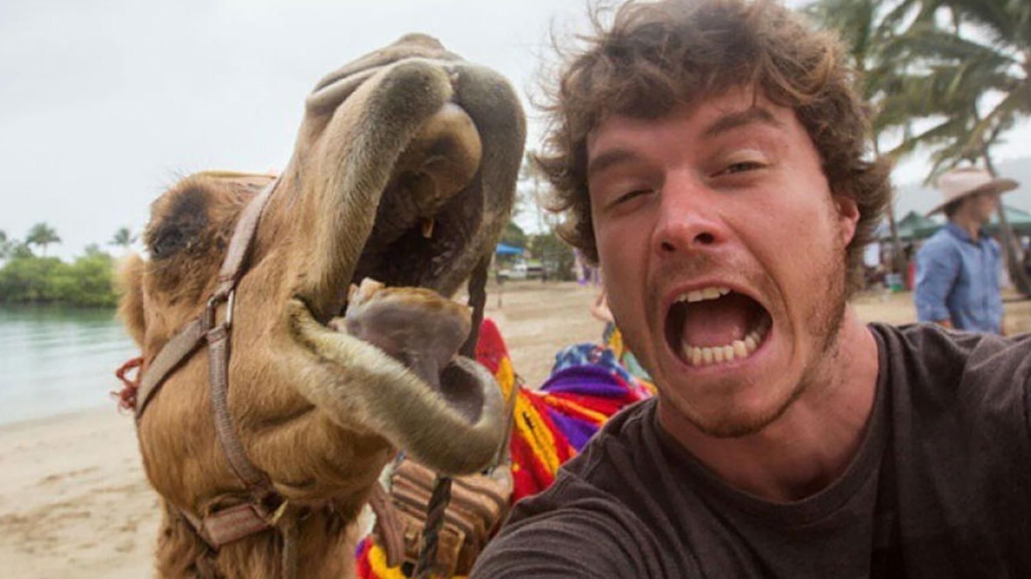 Хлопець робить селфі з тваринами у всьому світі: вражаючі кадри - Pets Хлопець робить селфі з тваринами у всьому світі: вражаючі кадри - Pets