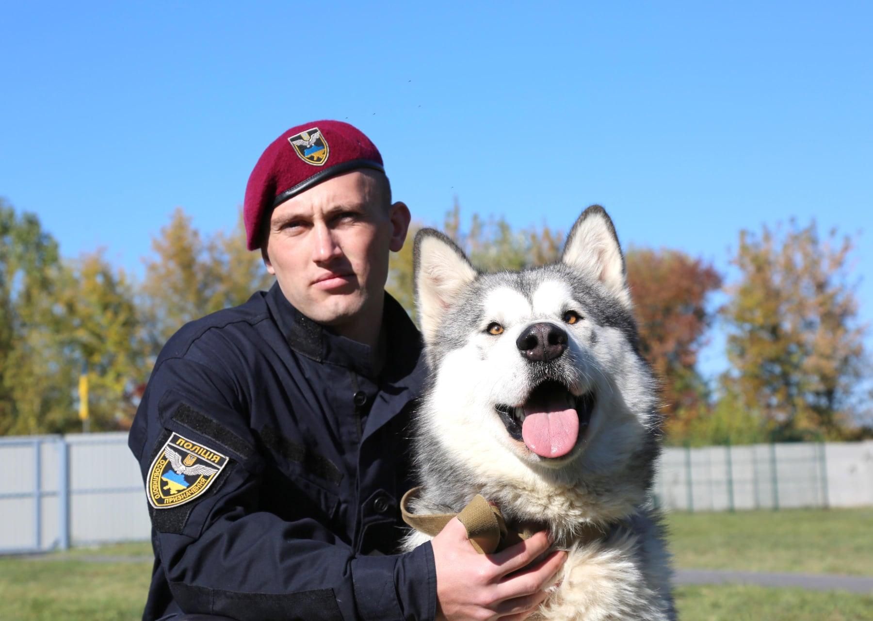 Полицейские из Винницы сделали яркую фотосессию с собаками в приюте: невероятные фото - Новости Винницы - Pets
