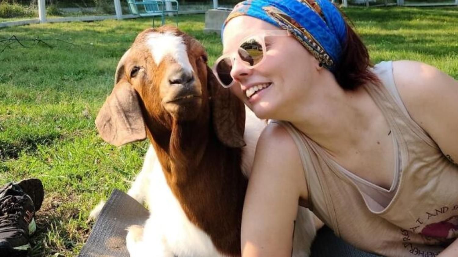 Дівчина рятує кіз та овець від жорстоких господарів: який метод використовує - Pets