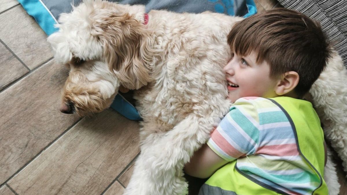 Собака допомогла хлопчику з аутизмом побороти страх стоматологів: що зробила чотирилапа - Pets