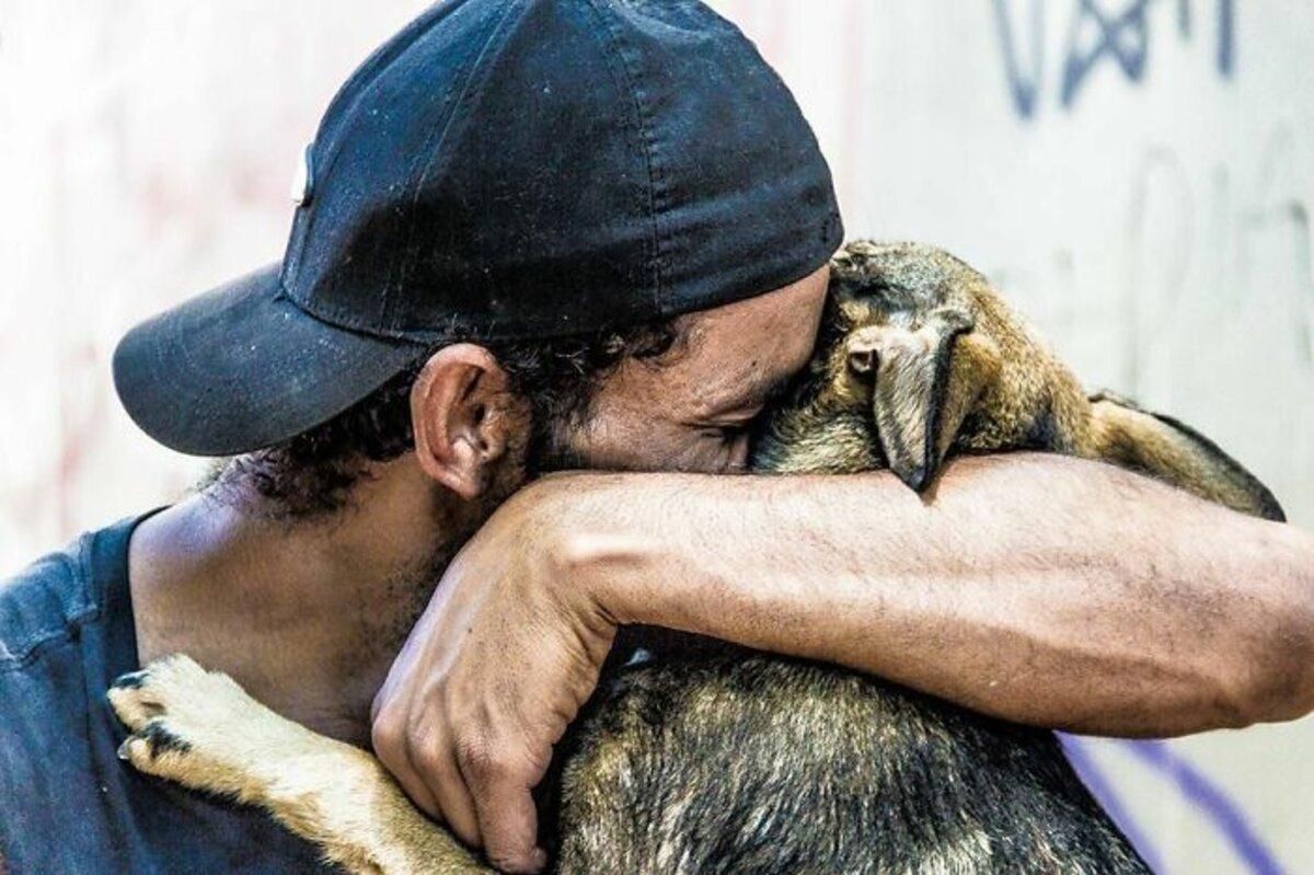 До сліз: фотопроєкт про бездомних людей та їх собак у Бразилії – 25+ зворушливих фото - Pets