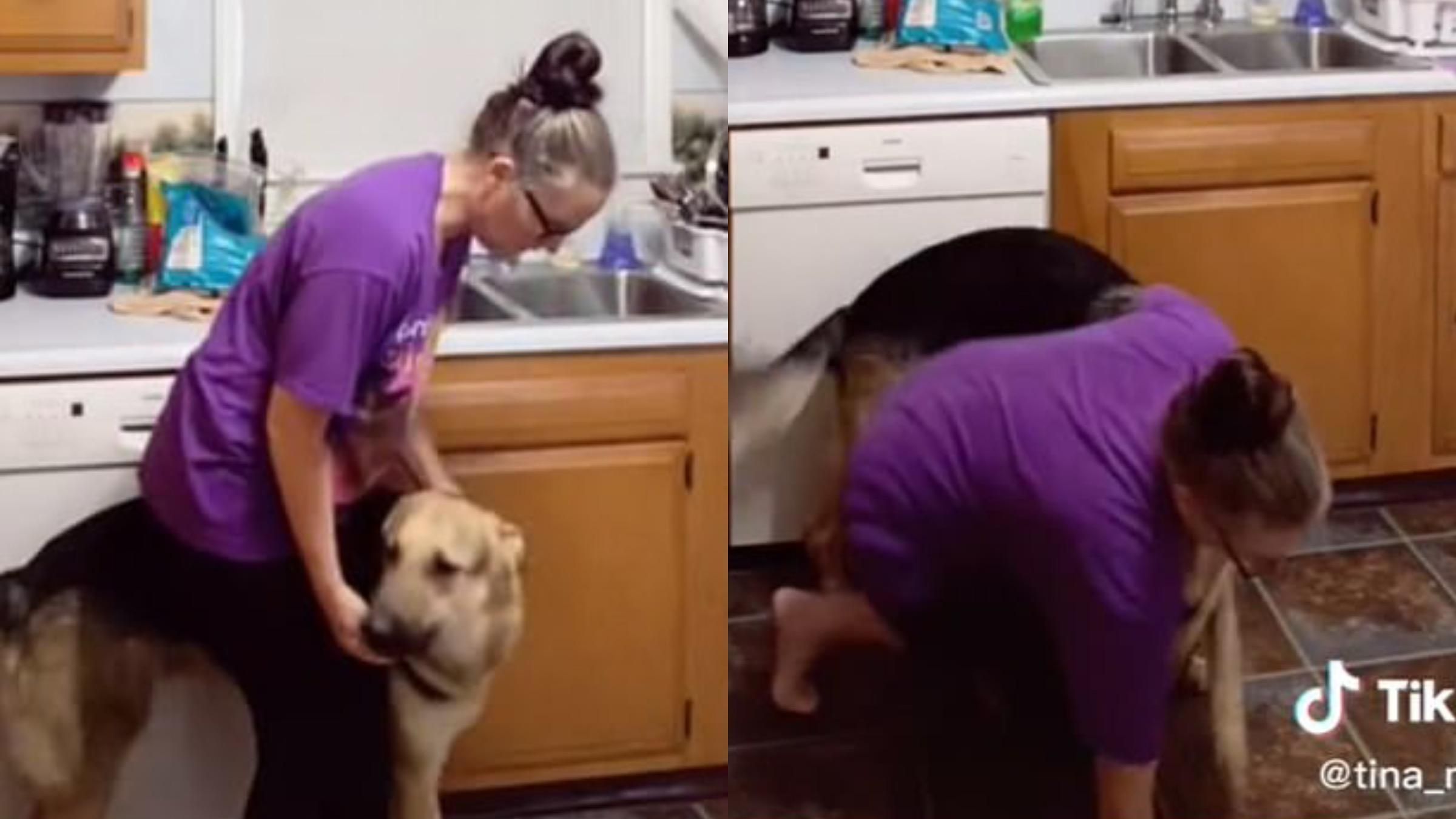 Підставив спину та дав спертися: пес відчув у власниці епілептичний напад - Pets Підставив спину та дав спертися: пес відчув у власниці епілептичний напад - Pets