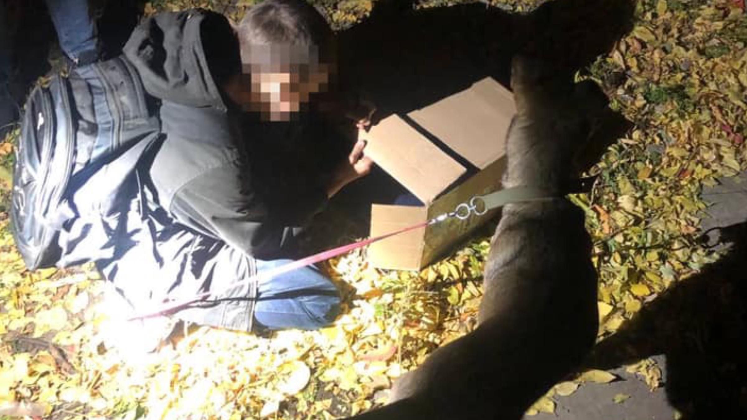 "Без собаки — я нікуди не піду": хлопчик втік з дому, бо мама не дозволила забрати чотирилапу - Новини Рівне - Pets "Без собаки — я нікуди не піду": хлопчик втік з дому, бо мама не дозволила забрати чотирилапу - Новини Рівне - Pets