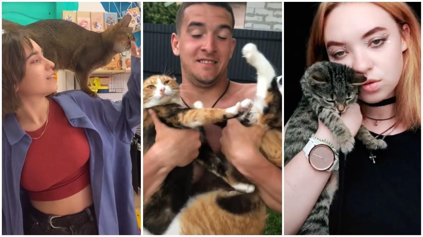 "Заведу кота": муркотуни завойовують український тікток - Pets "Заведу кота": муркотуни завойовують український тікток - Pets