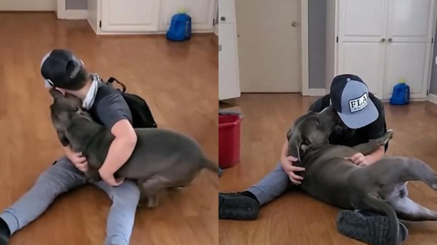 Мальчик эмоционально отреагировал на возвращение потерянного пса: трогательное видео - Pets