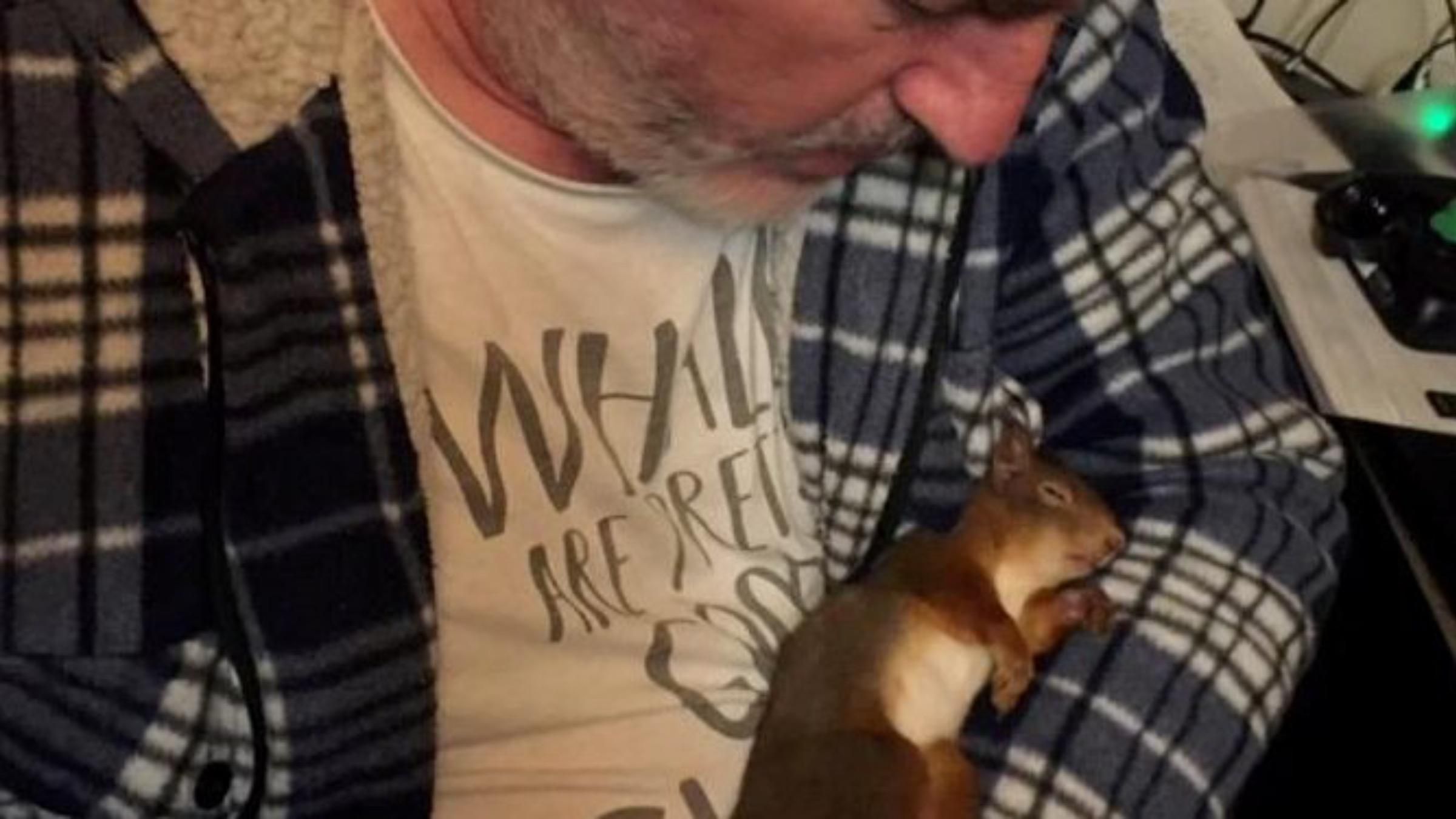 Печенье и фруктовые смузи: мужчина разработал специальное меню для спасения раненой белки - Pets Печенье и фруктовые смузи: мужчина разработал специальное меню для спасения раненой белки - Pets