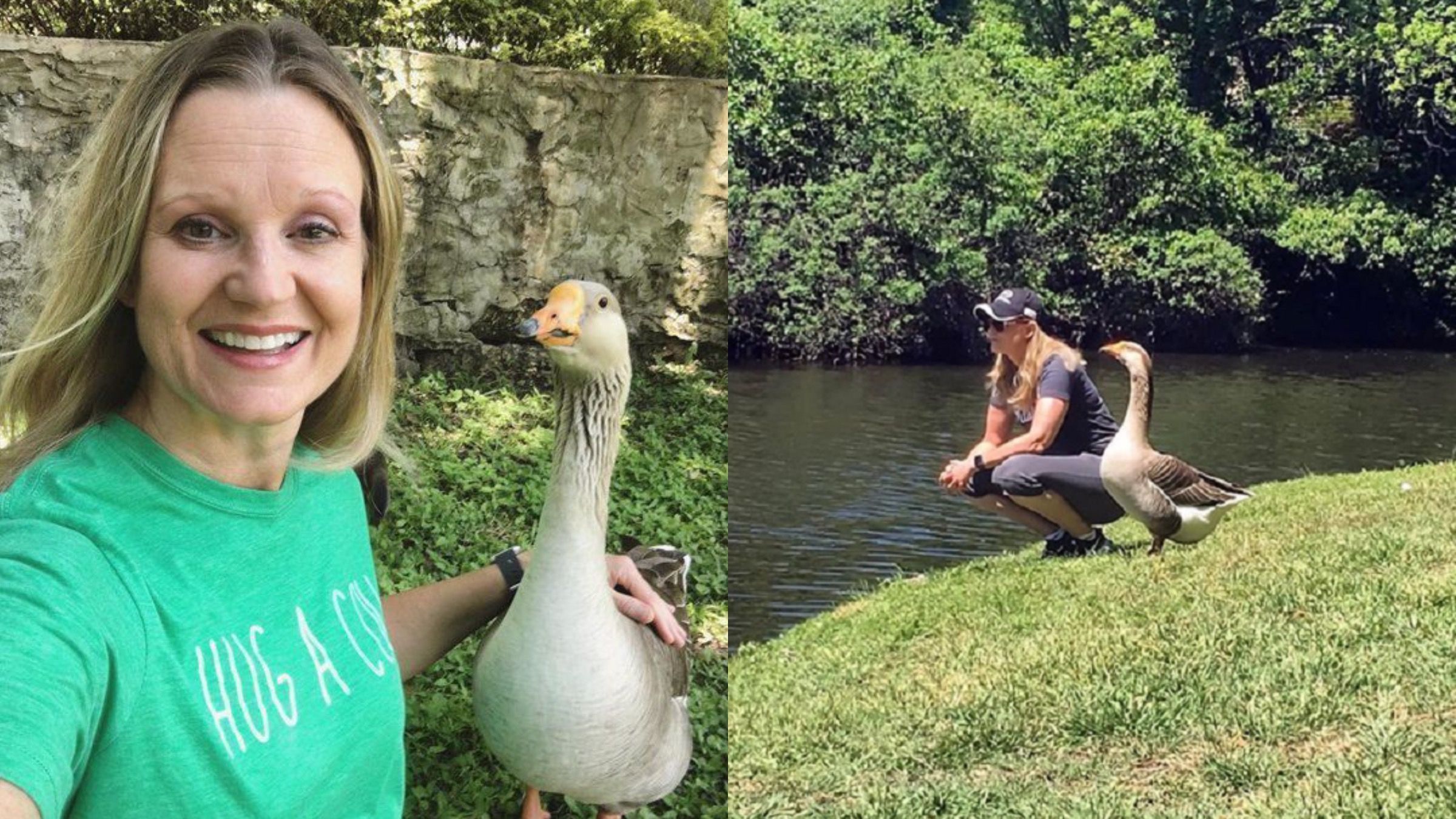 Співає йому пісні та ходять на прогулянки: як жінка подружилася з гусаком - Pets Співає йому пісні та ходять на прогулянки: як жінка подружилася з гусаком - Pets