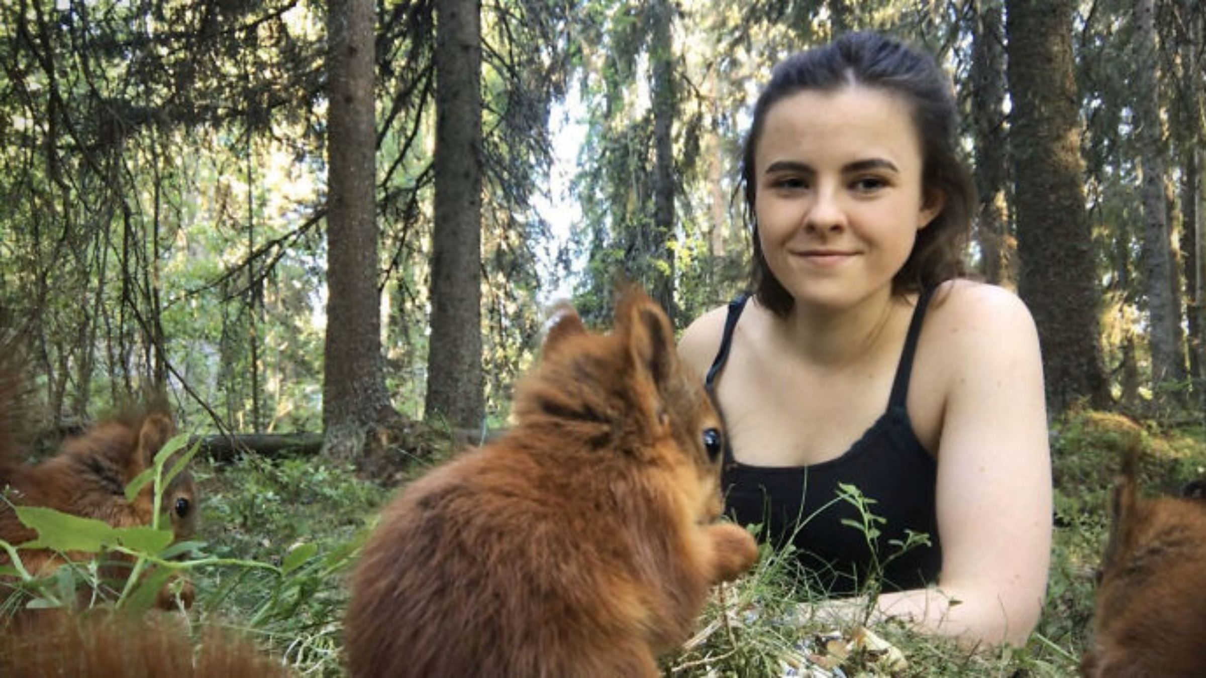 Надзвичайно милий звук: дівчина записала відео з білченям, який жує горішок - Pets
