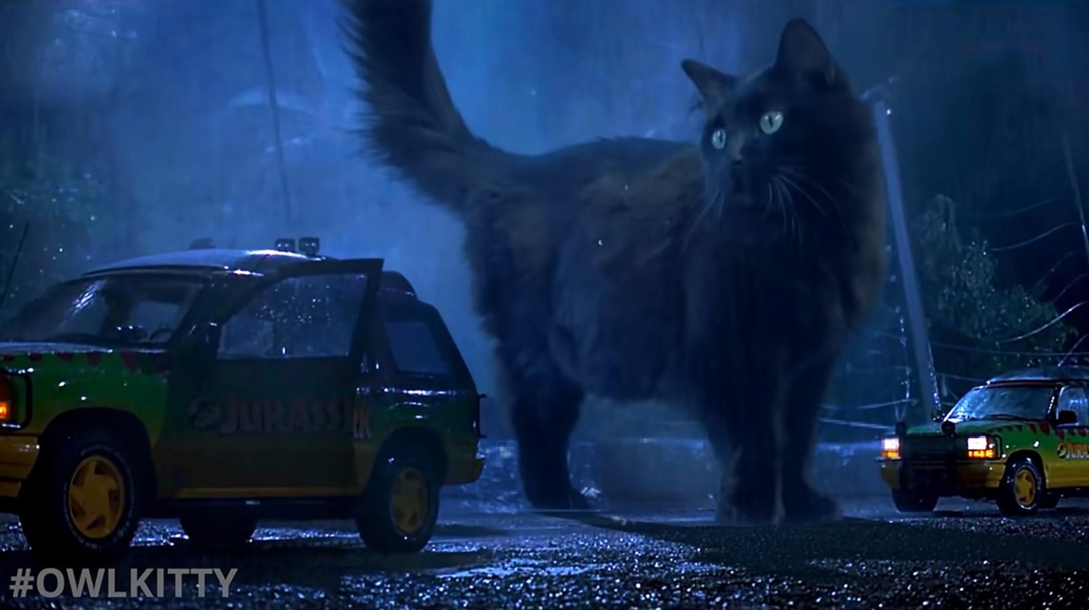 Замість динозавра – пухнаста кішка : кумедна адаптація "Парку Юрського періоду" - Pets Замість динозавра – пухнаста кішка : кумедна адаптація "Парку Юрського періоду" - Pets