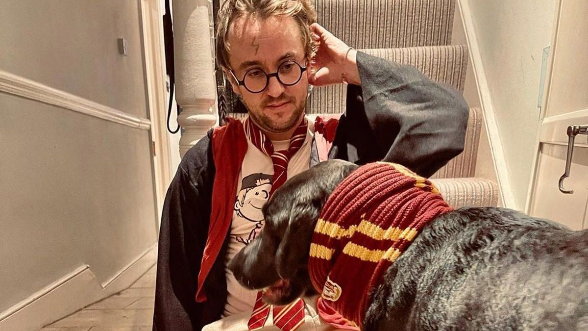 Том Фелтон одягнувся Гаррі Поттером на Геловін: кумедні фото зірки та його пса - Pets