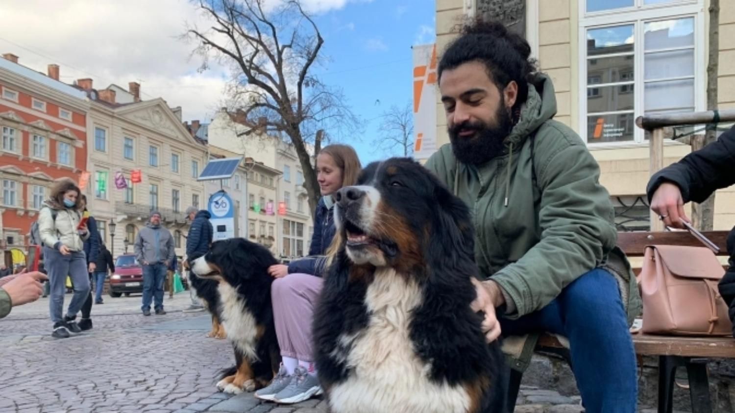 Чотирилапе "лікування": як у центрі Львові собаки допомагають людям боротися з негативом - Новини Львів - Pets