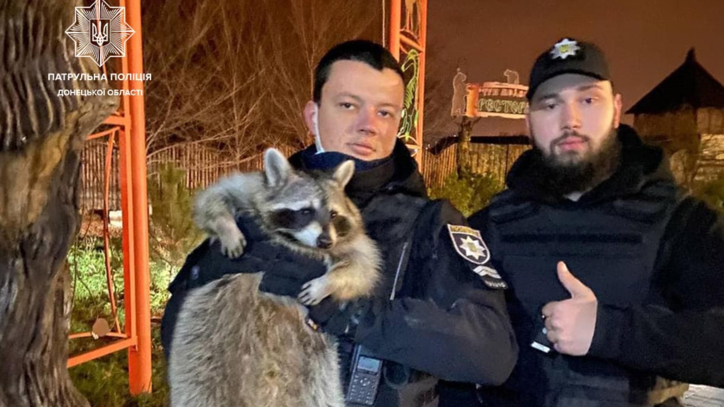 Втікач на дереві: як патрульні допомогли єноту повернутися додому - Pets Втікач на дереві: як патрульні допомогли єноту повернутися додому - Pets