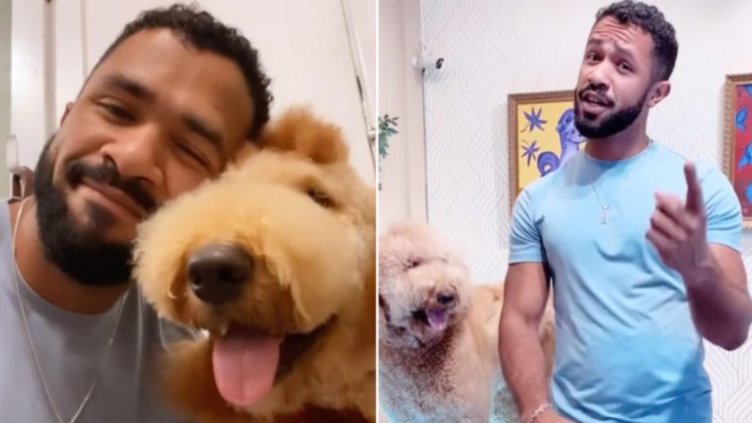 Вместо щенка – жирафа: мужчина превращает собак в экзотических животных - Pets Вместо щенка – жирафа: мужчина превращает собак в экзотических животных - Pets