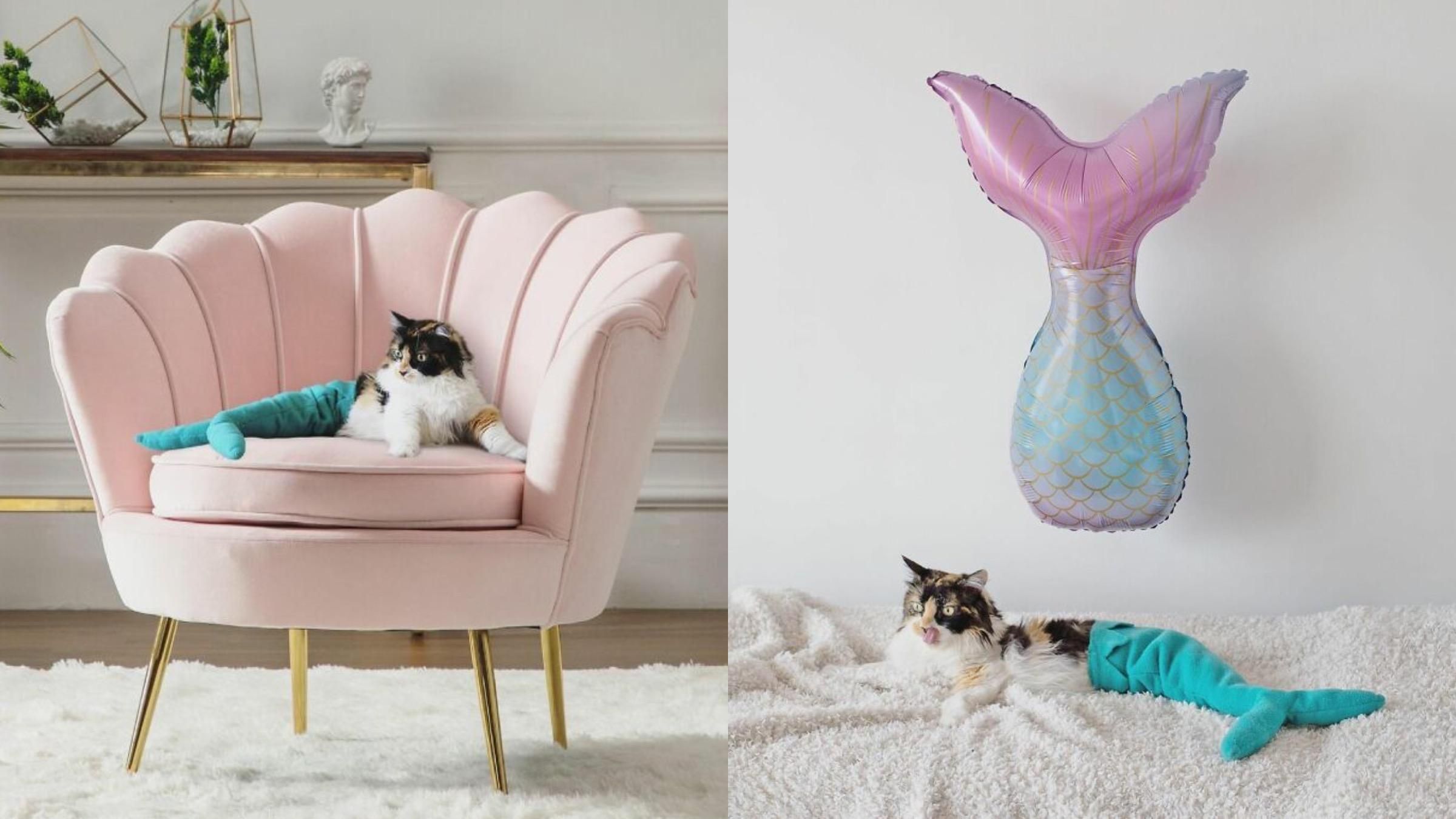 Кішка-русалка: господар показує життя особливої домашньої улюблениці - Pets Кішка-русалка: господар показує життя особливої домашньої улюблениці - Pets