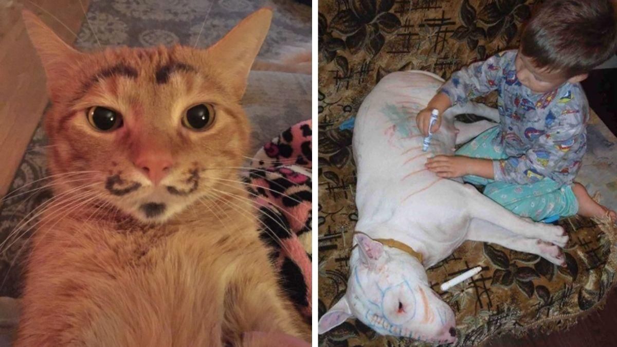 Что будет, если оставить вместе детей и домашних животных: смотрите результат на фото - Pets Что будет, если оставить вместе детей и домашних животных: смотрите результат на фото - Pets