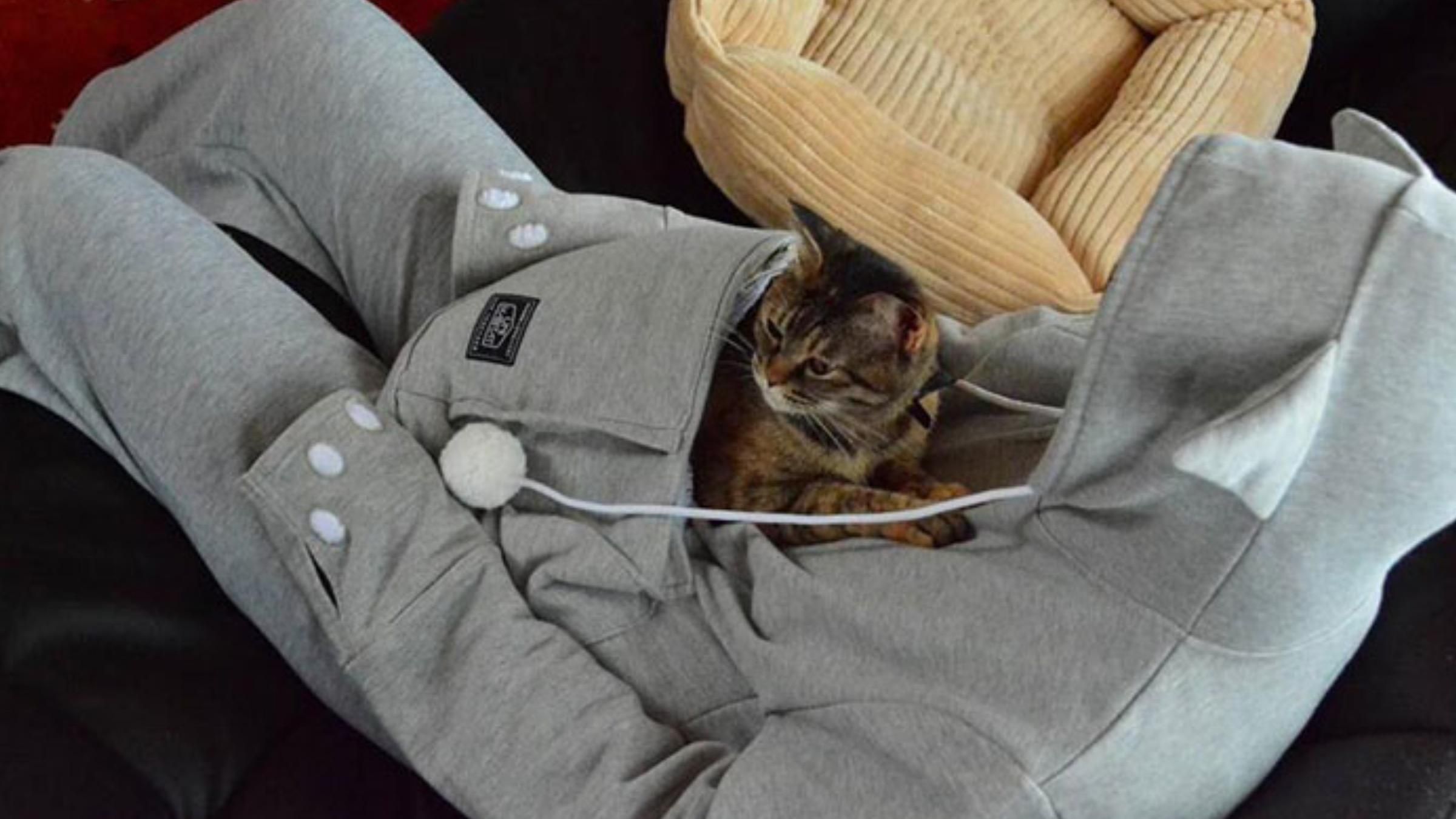 З кишенькою для кота та вушками: як виглядає худі, що розробили для власників чотирилапих - Pets