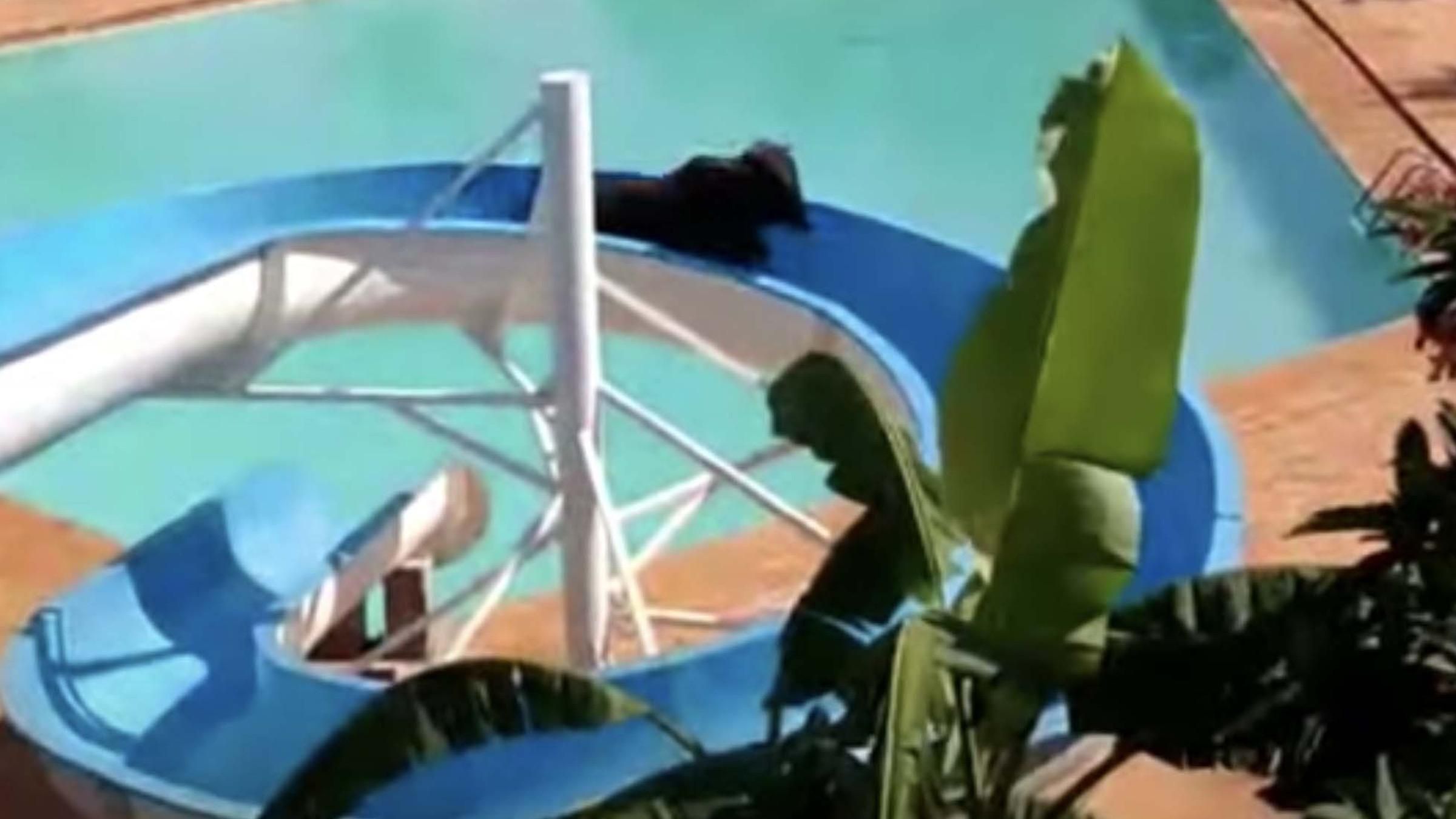 Бык хотел проехаться на водяной горке, но застрял: забавное видео - Pets Бык хотел проехаться на водяной горке, но застрял: забавное видео - Pets