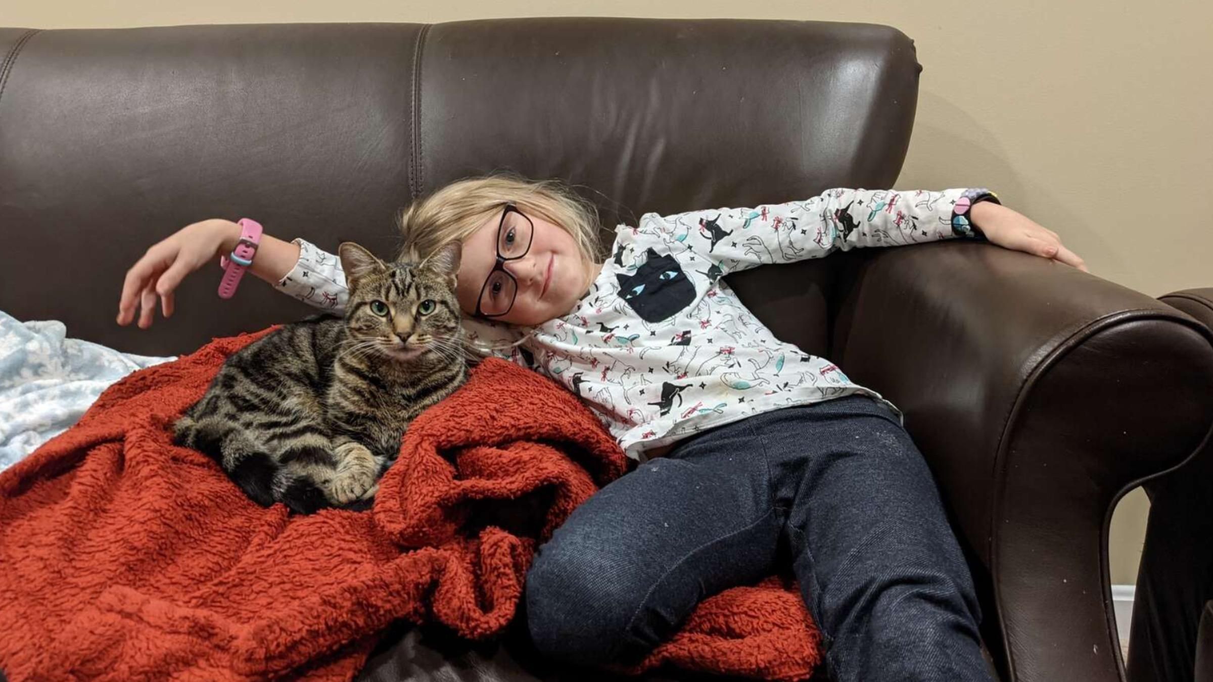 Кошка пыталась проникнуть в школу: какая особая цель была у четырехлапой - Pets Кошка пыталась проникнуть в школу: какая особая цель была у четырехлапой - Pets