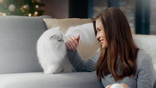 Ідея для подарунка котику на Новий рік: що точно сподобається пухнастому гурману