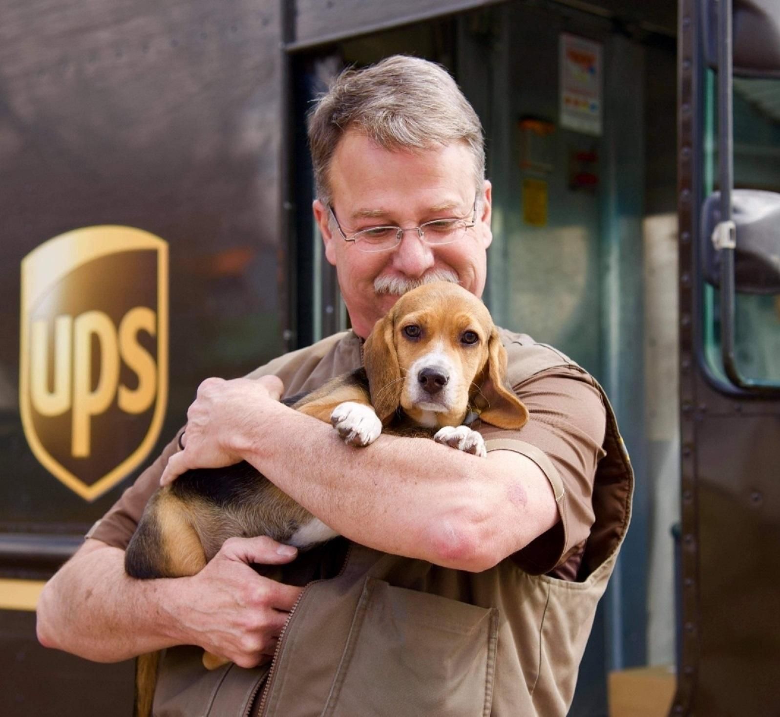 Поштарі діляться світлинами собак, яких вони зустрічають на своїх маршрутах - Pets