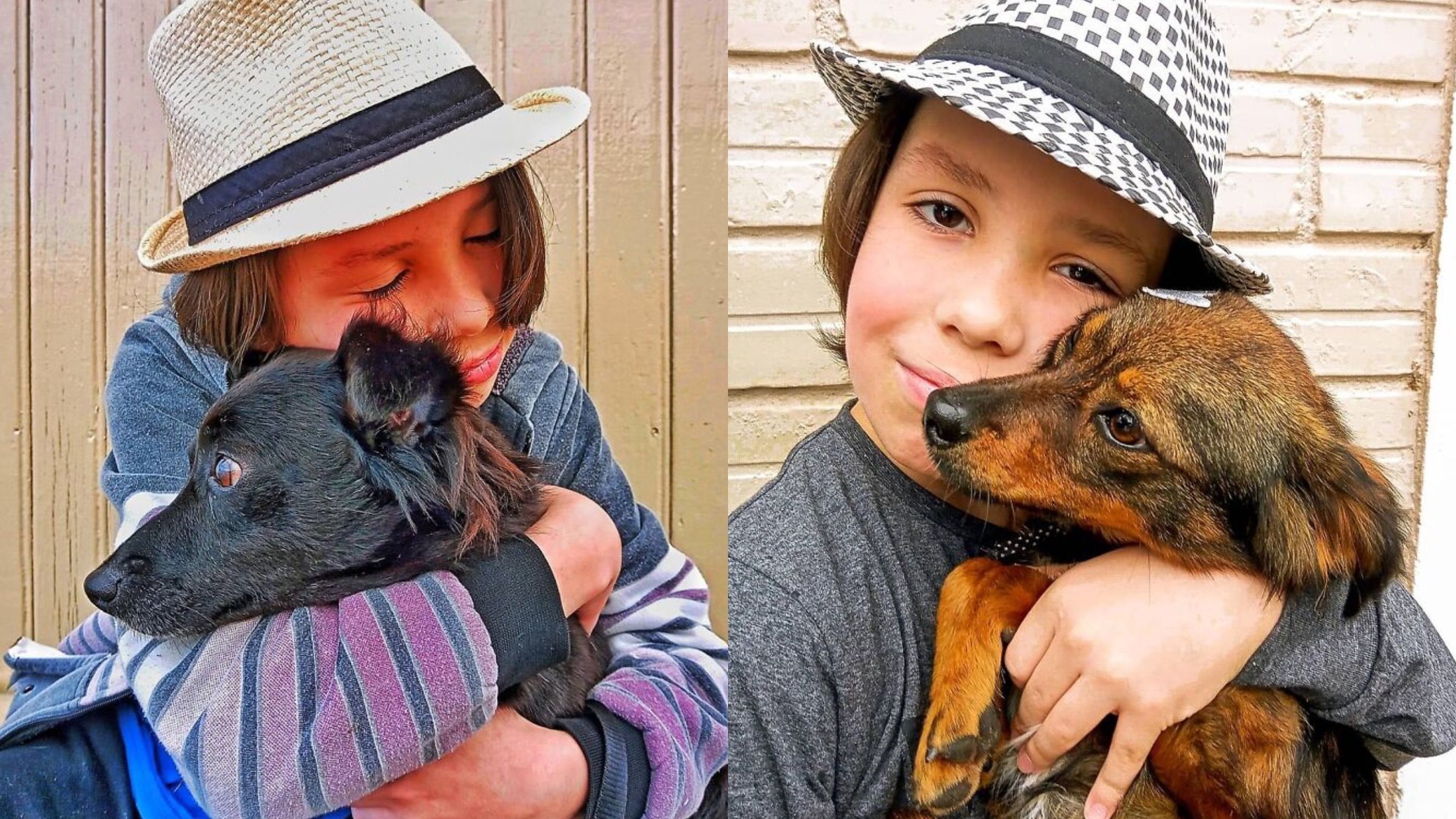 Миє та вичісує: 11-річний хлопчик допомагає покинутим собакам знайти новий дім - Pets