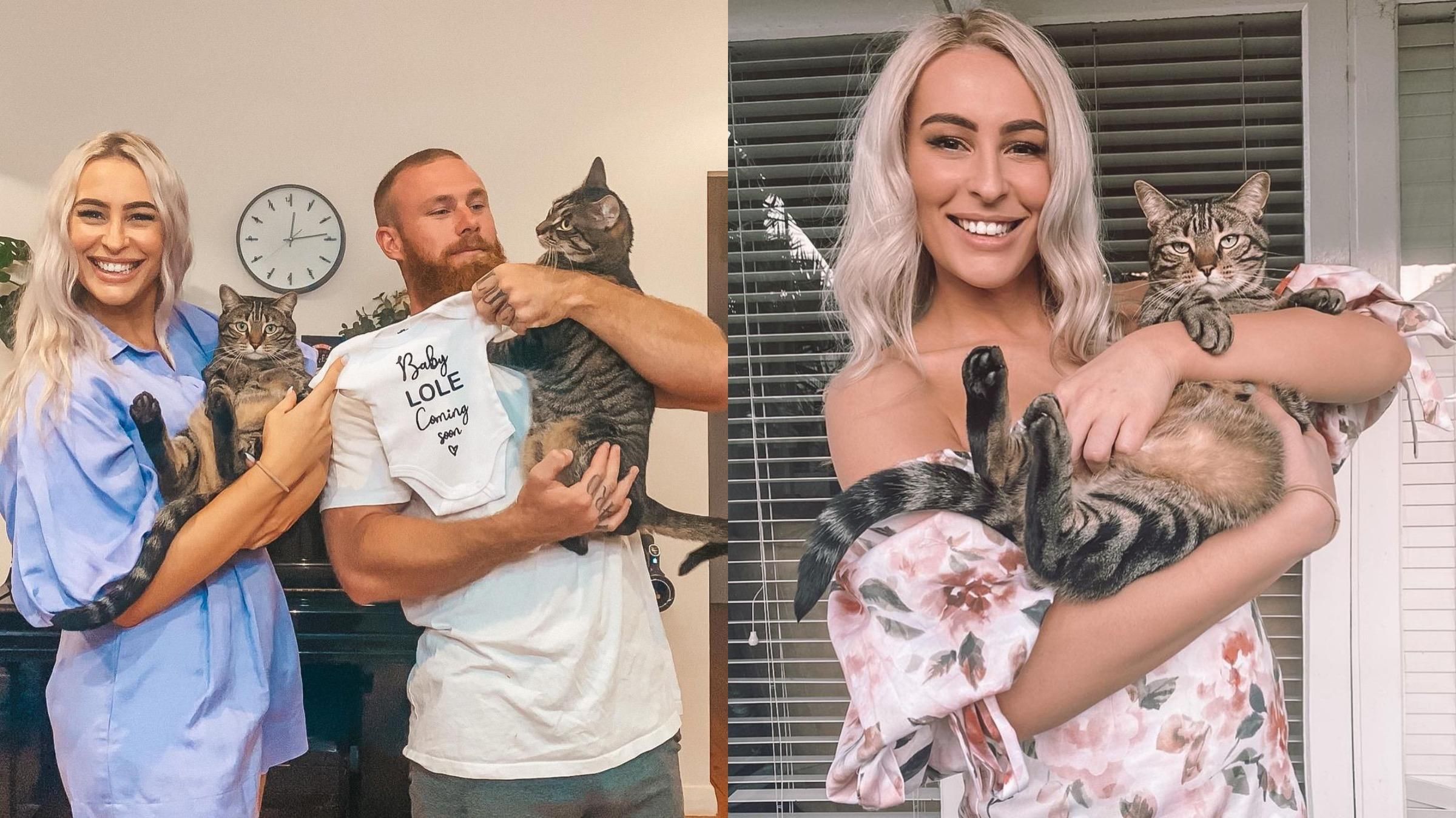 Сносила вещи и делала "гнездо": как кошка готовилась к появлению у хозяйки малыша - Pets Сносила вещи и делала "гнездо": как кошка готовилась к появлению у хозяйки малыша - Pets