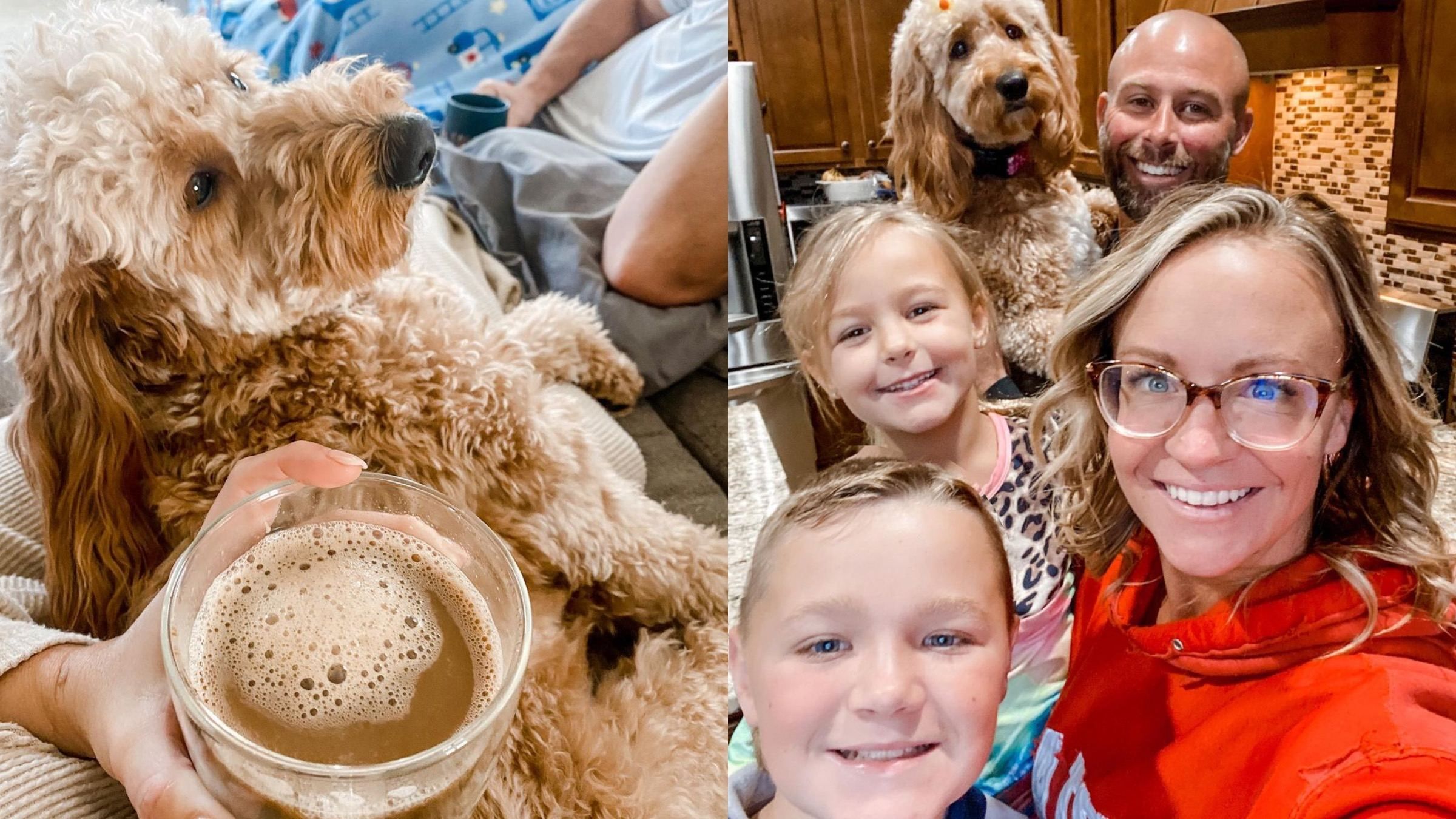 Песик любит утром будить свою семью: видео пушистого будильника - Pets Песик любит утром будить свою семью: видео пушистого будильника - Pets