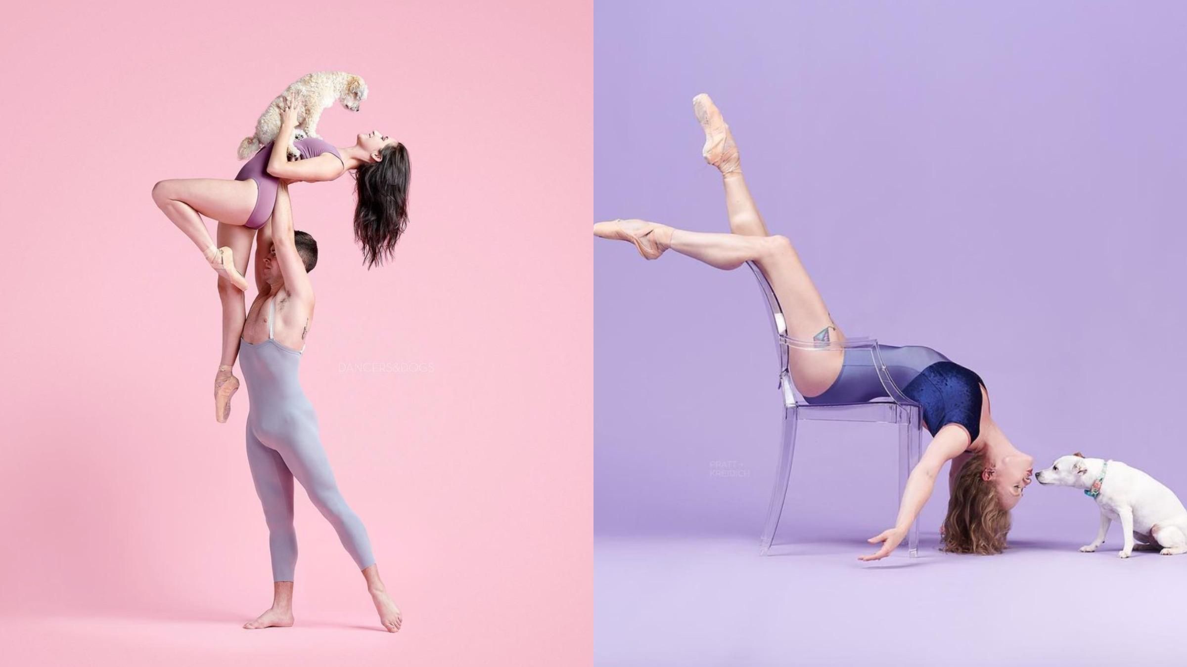 Професійні танцюристи балету зробили світлини із собаки: вражаючі кадри - Pets Професійні танцюристи балету зробили світлини із собаки: вражаючі кадри - Pets