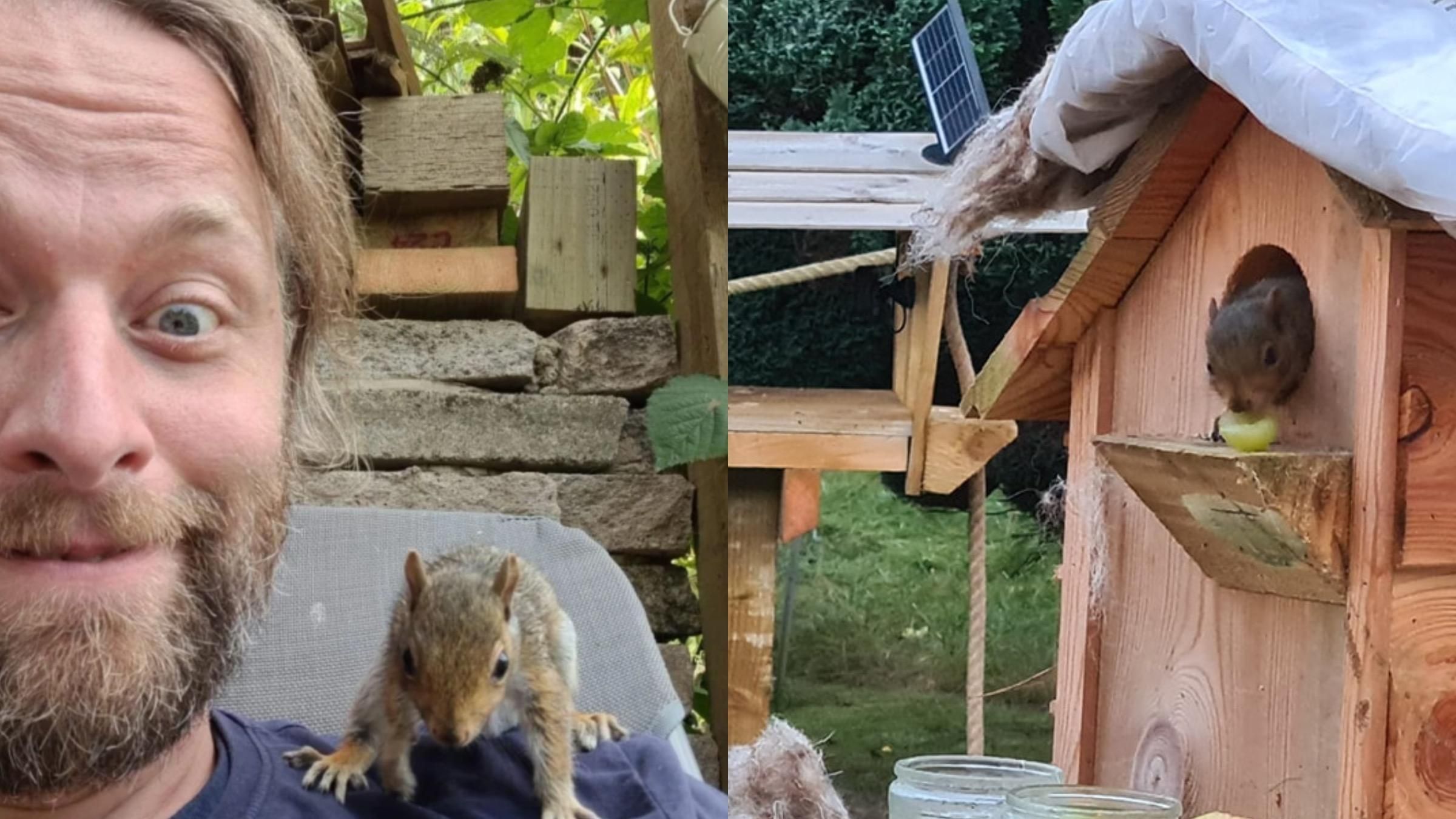 Мужчина построил маленькую деревню для белок: фото и видео деревянной конструкции - Pets Мужчина построил маленькую деревню для белок: фото и видео деревянной конструкции - Pets