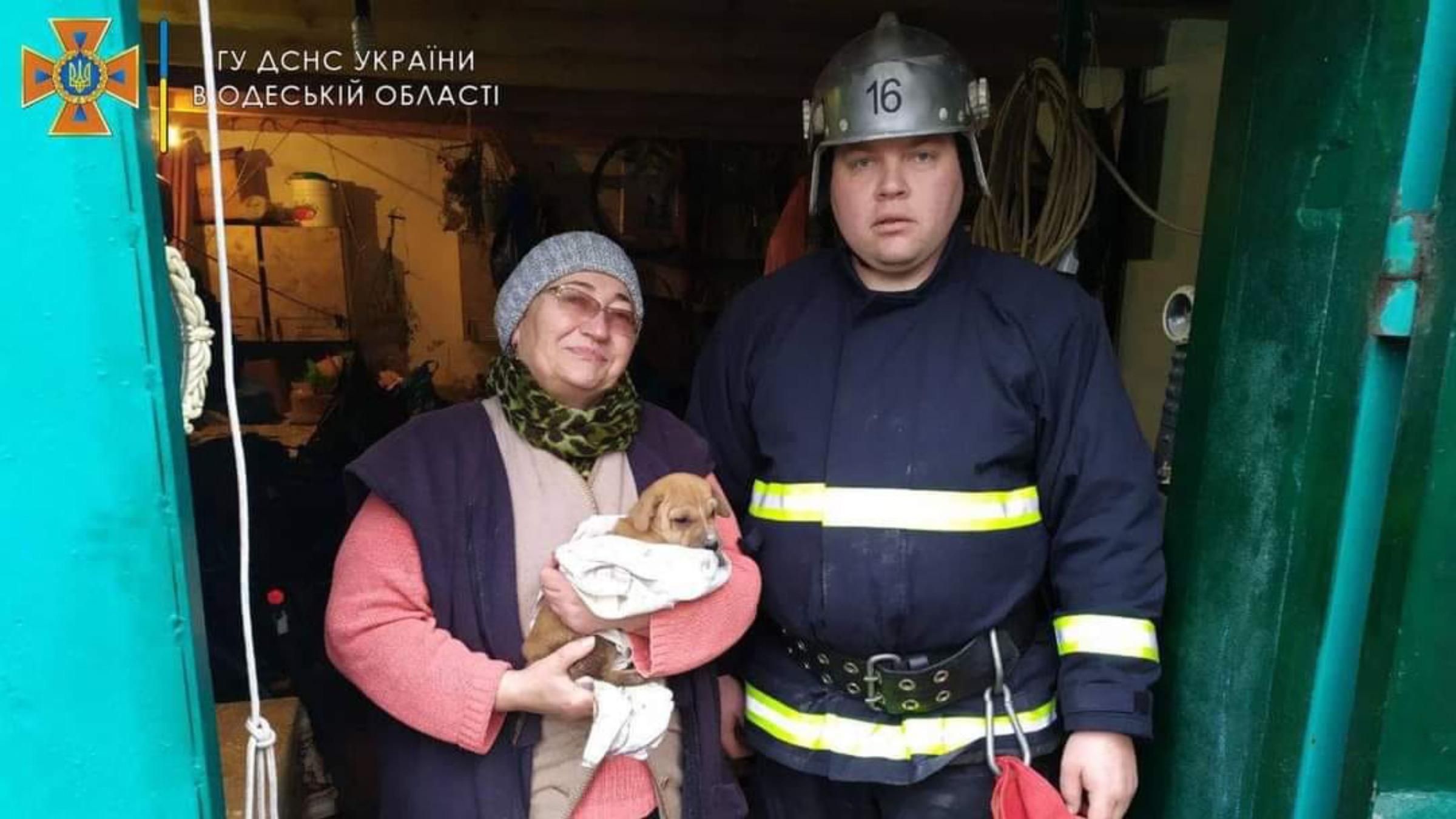 Щенок застрял в сливной трубе: как кроху доставали из ловушки - Pets Щенок застрял в сливной трубе: как кроху доставали из ловушки - Pets