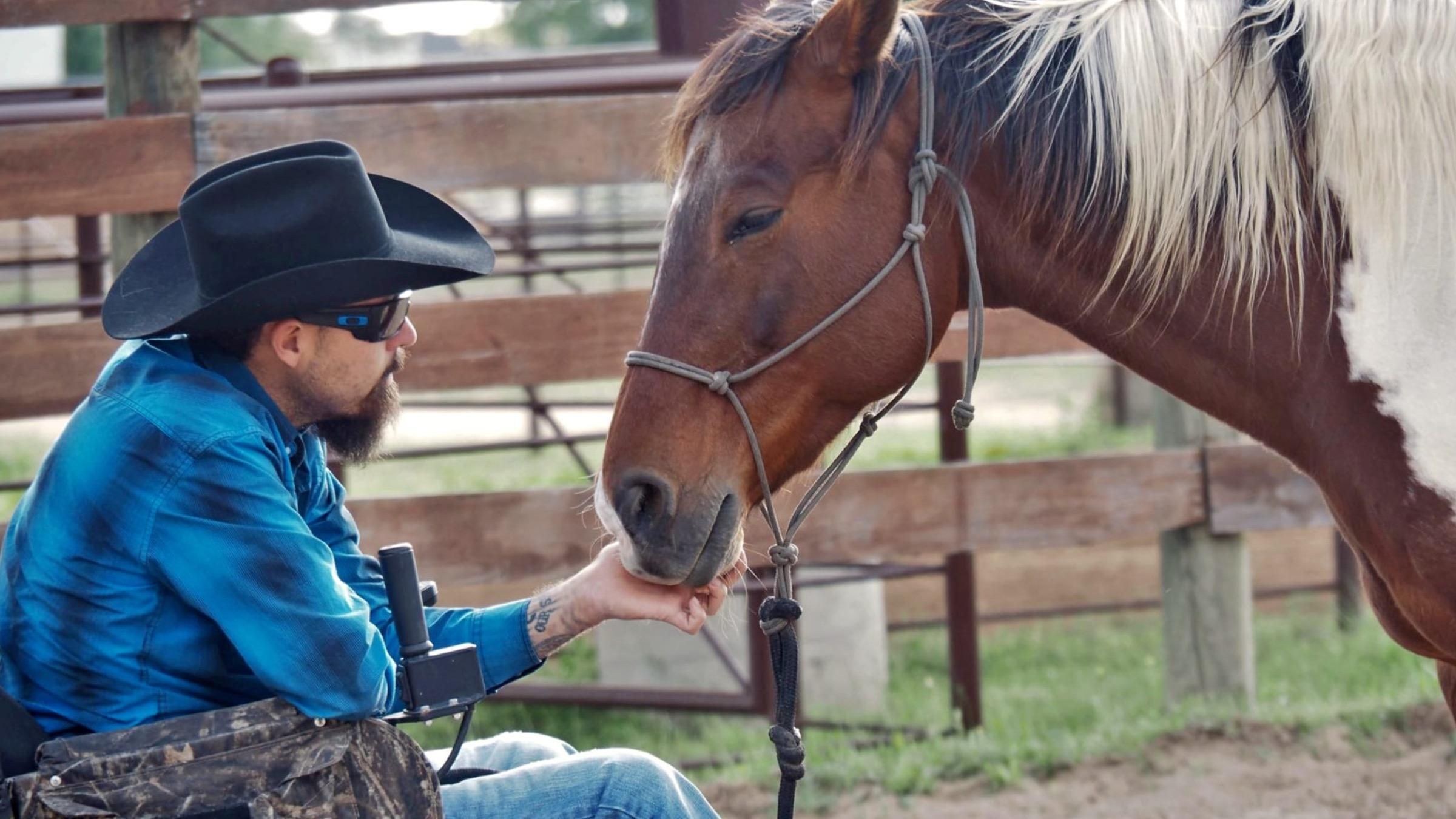 Исцеление душ: как мужчина спасает лошадей от жестоких хозяев и помогает ветеранам - Pets Исцеление душ: как мужчина спасает лошадей от жестоких хозяев и помогает ветеранам - Pets