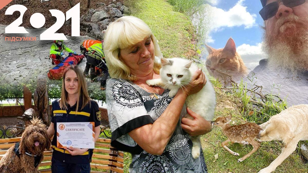 Супергерої без костюмів: 7 випадків, коли тварини рятували життя у 2021 році - Pets Супергерої без костюмів: 7 випадків, коли тварини рятували життя у 2021 році - Pets