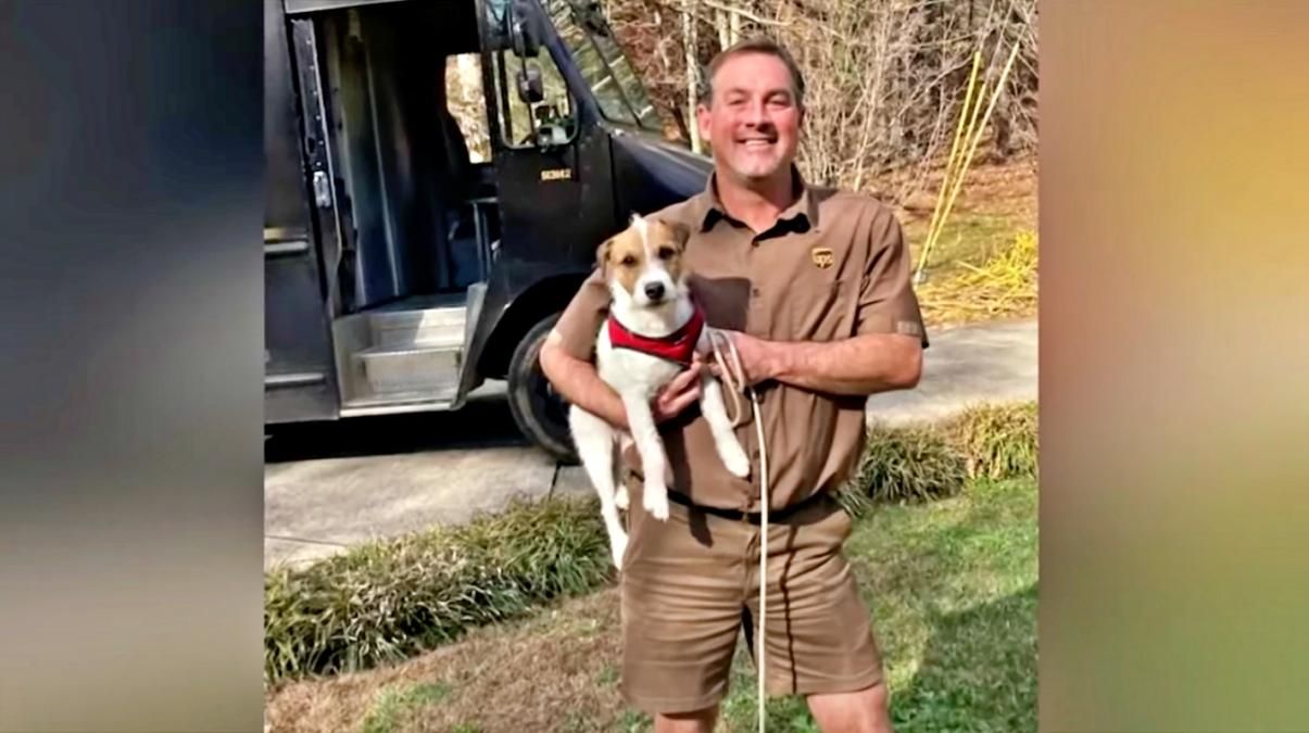 Додаткова доставка: водій кур'єрської служби допоміг повернути загубленого собаку додому - Pets