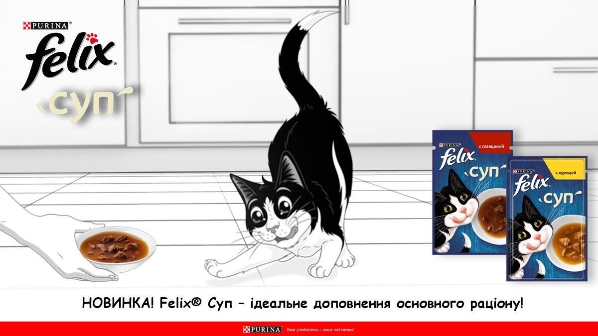 Ексклюзивні подарунки для котиків: якою новинкою можна потішити улюбленця - Pets Ексклюзивні подарунки для котиків: якою новинкою можна потішити улюбленця - Pets