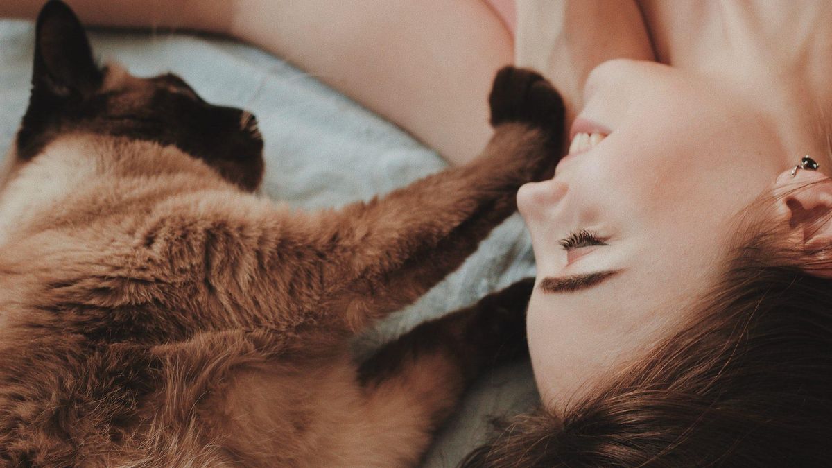 Как понравиться коту: ученые назвали 6 секретов - Pets