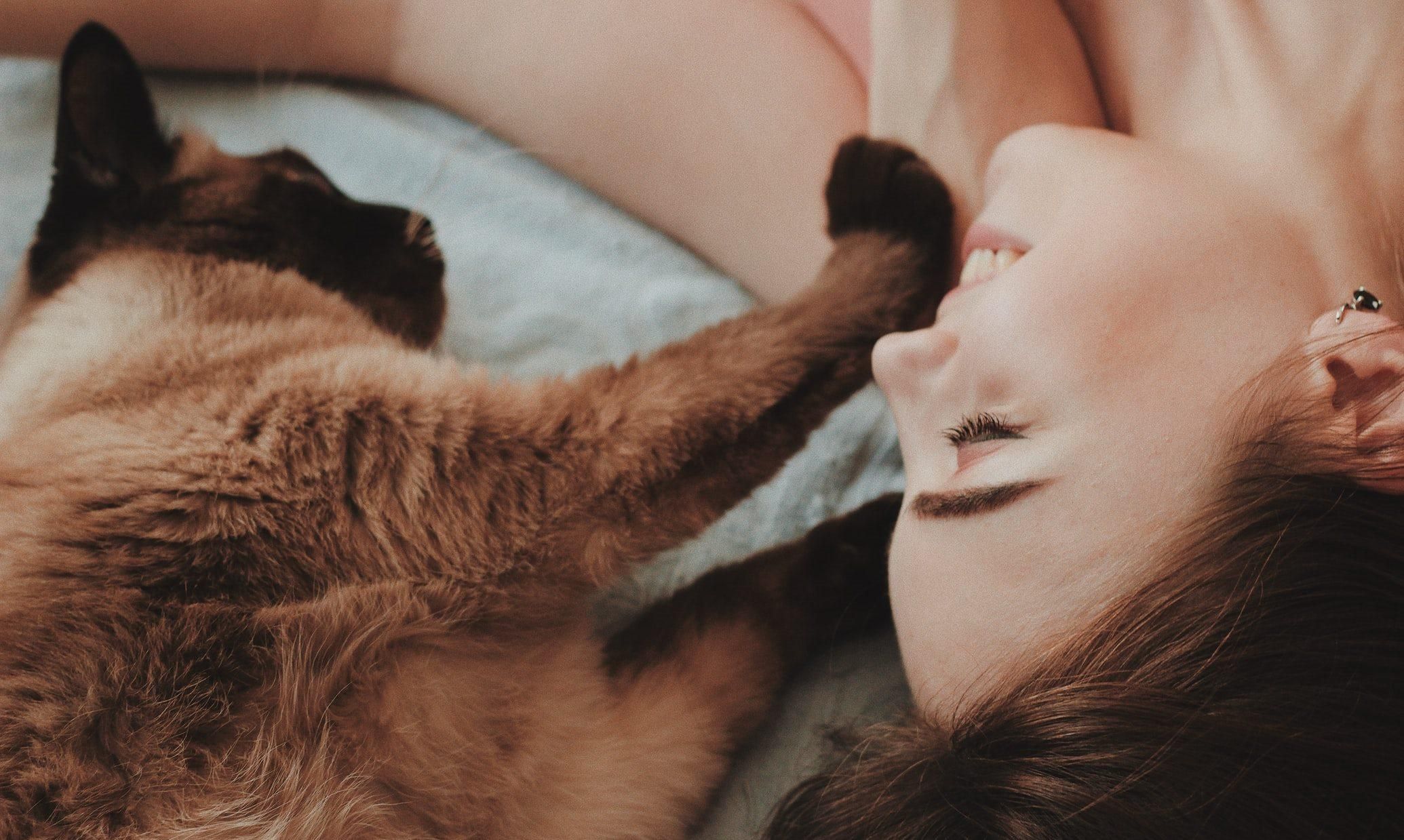 Как понравиться коту: ученые назвали 6 секретов - Pets