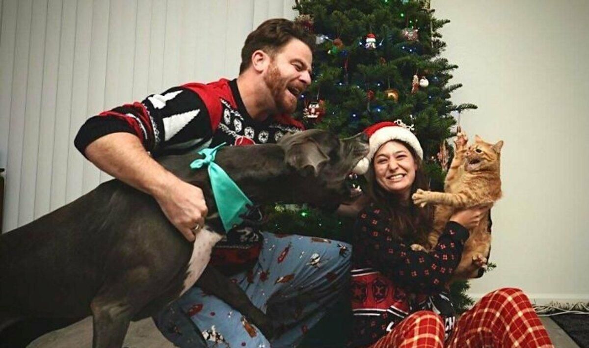 Ці улюбленці точно знають, як зробити Новий рік краще: 20 дуже веселих фото - Pets Ці улюбленці точно знають, як зробити Новий рік краще: 20 дуже веселих фото - Pets