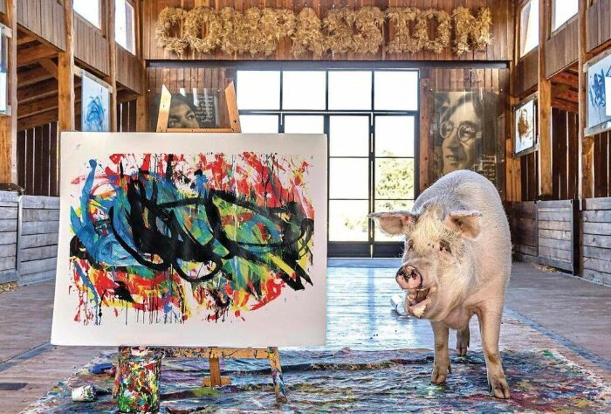 Забавный рекорд: картину, которую нарисовала свинья, продали за десятки тысяч евро - Pets