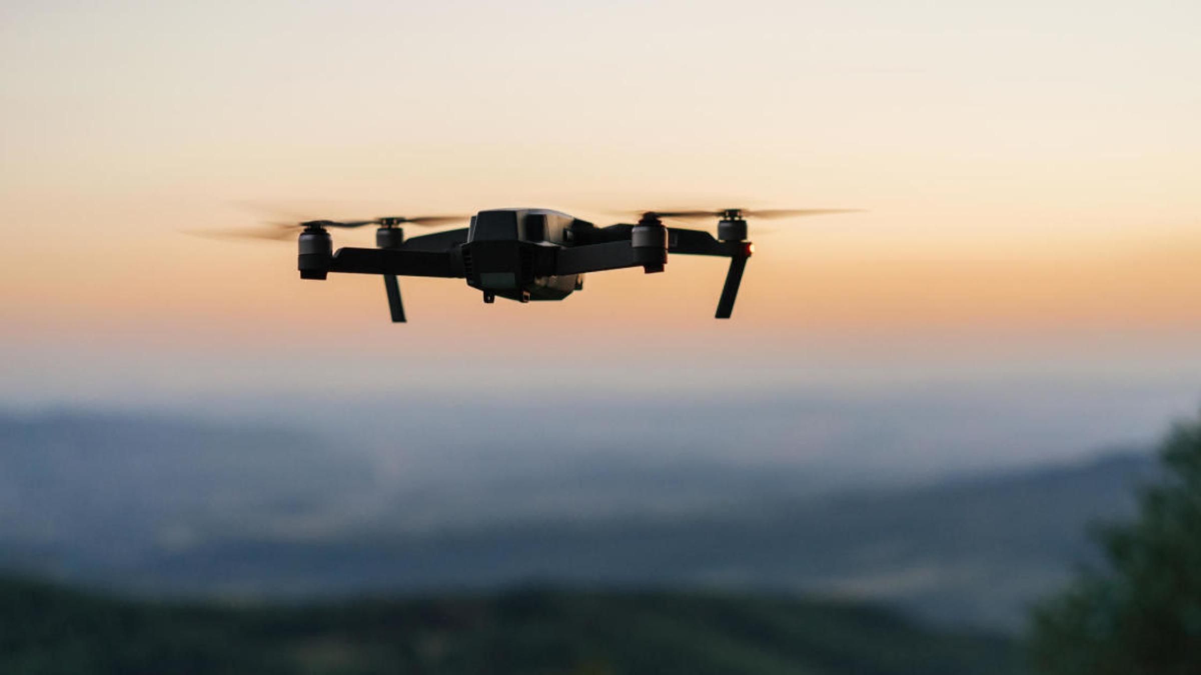 Хозяйка арендовала дроны, чтобы поздравить собаку с днем рождения: видео праздничного шоу - Pets Хозяйка арендовала дроны, чтобы поздравить собаку с днем рождения: видео праздничного шоу - Pets