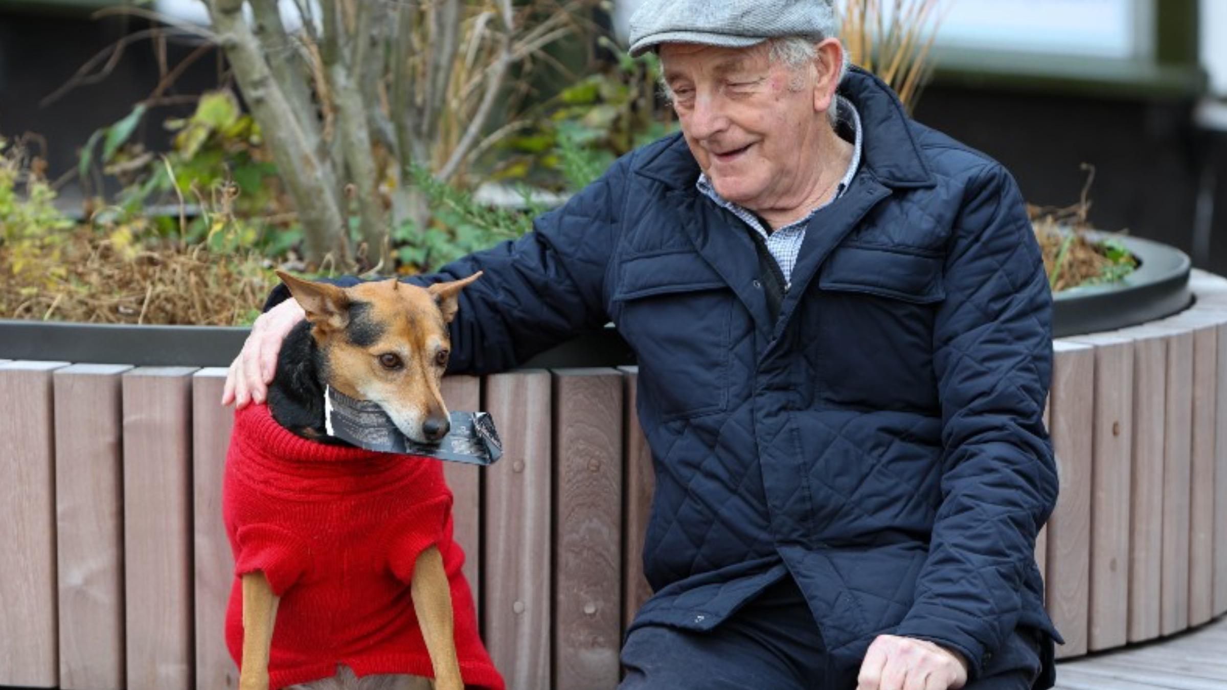 Не бачилися 20 років: як собака допоміг господарю возз'єднатися з рідними - Pets